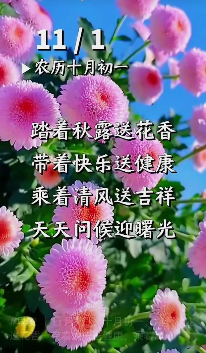 不知不觉十月与我们挥手告别，站在时间渡口看时间轮回，不管十月过得怎样，都已翻篇了