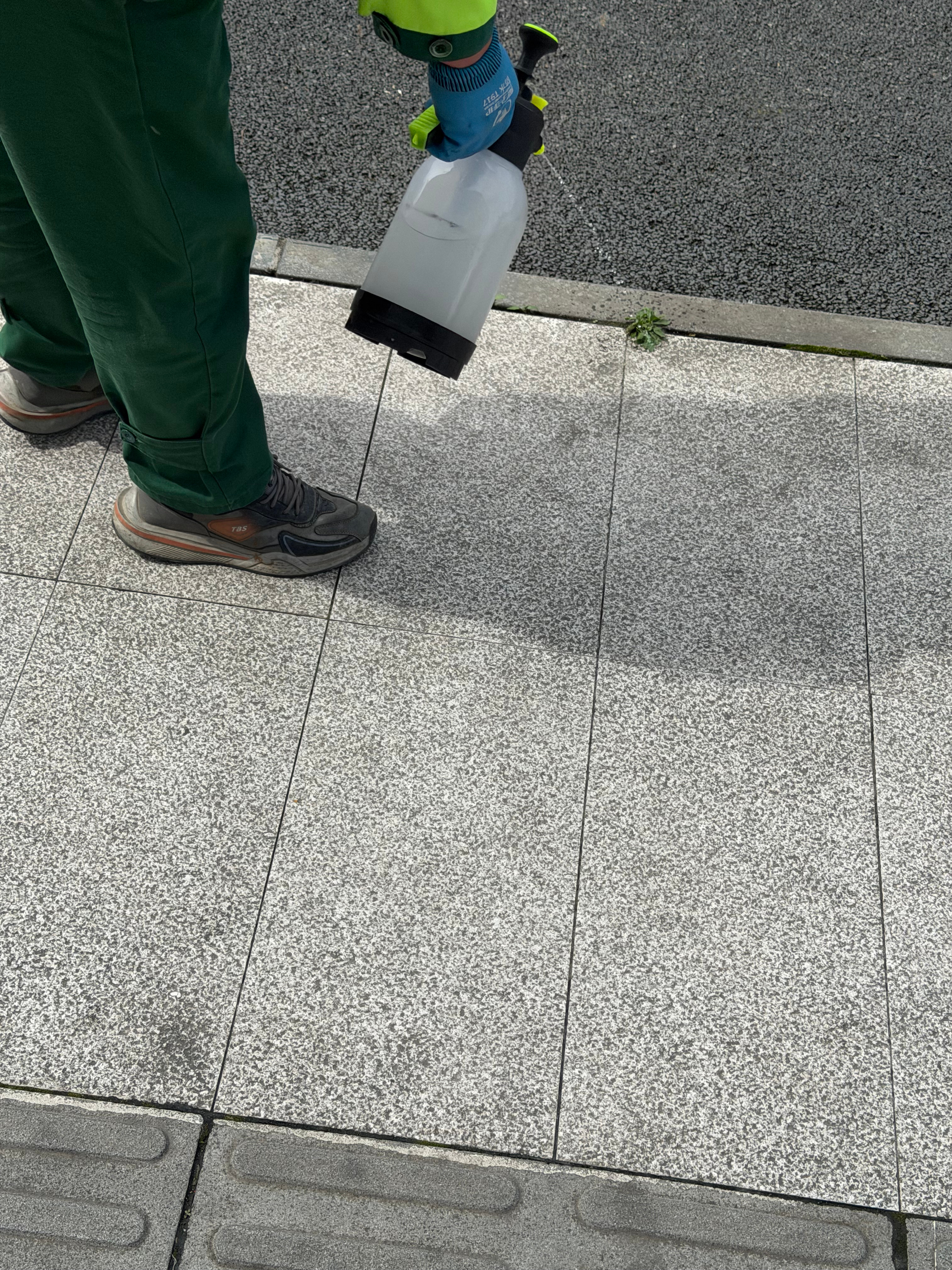 成都的环卫大哥好有爱，我看他浇水浇了一路了 成都·成都武侯渝江皇冠假日酒店