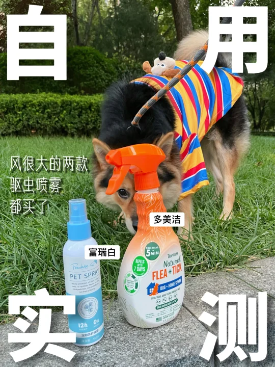 遛狗必备的体外驱虫喷雾丨自用测评！