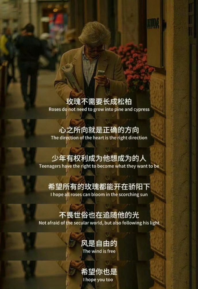玫瑰不需要长成松柏。