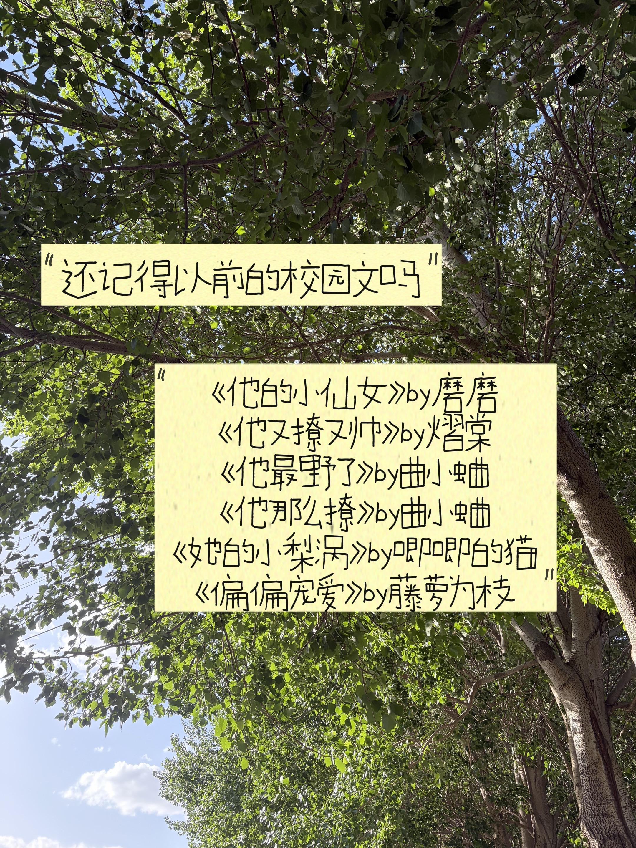 回顾那些年看过的校园文