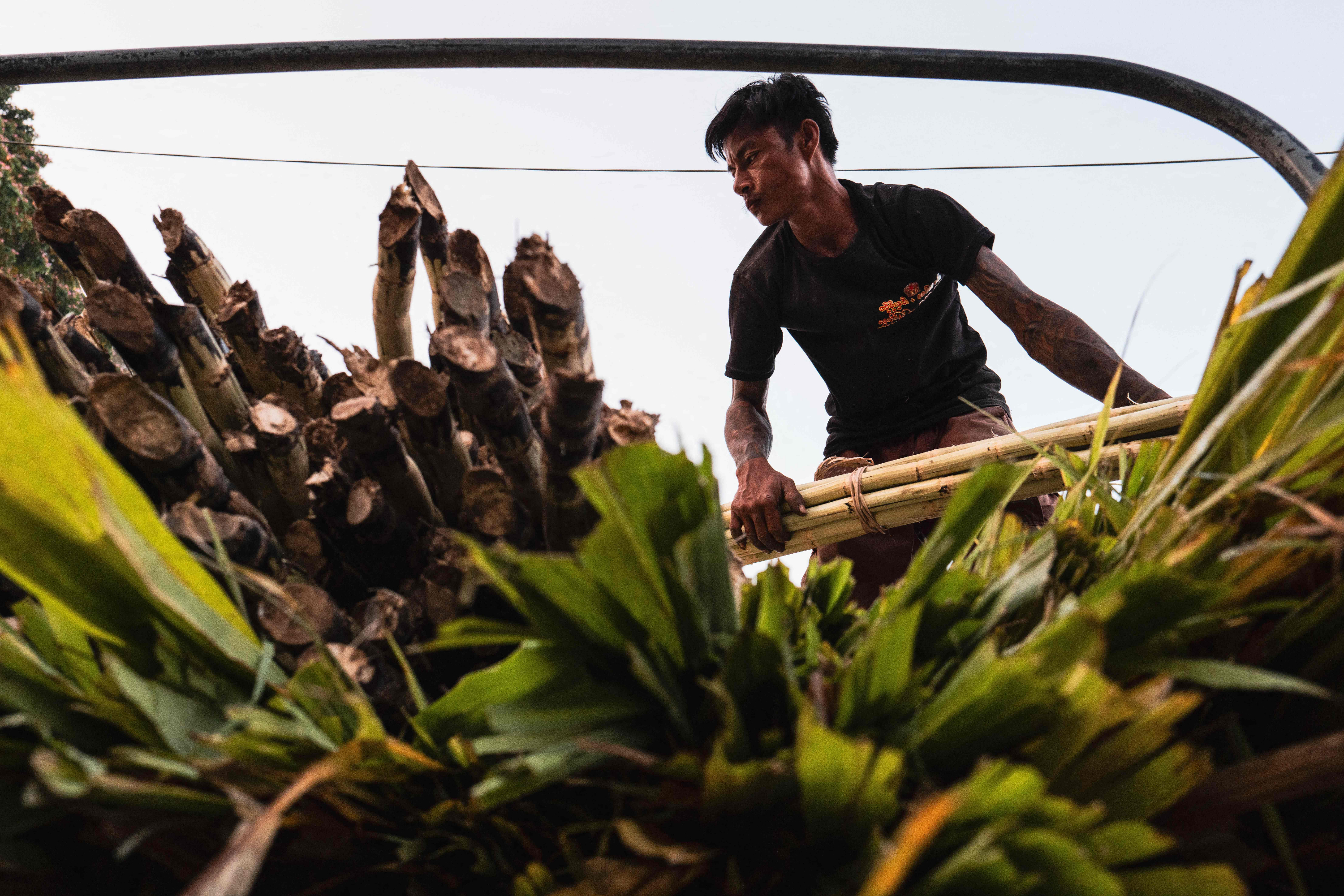 【国际货币基金组织：#伊朗战争将重塑全球经济#】据阿联酋《国民报》网站3月31日
