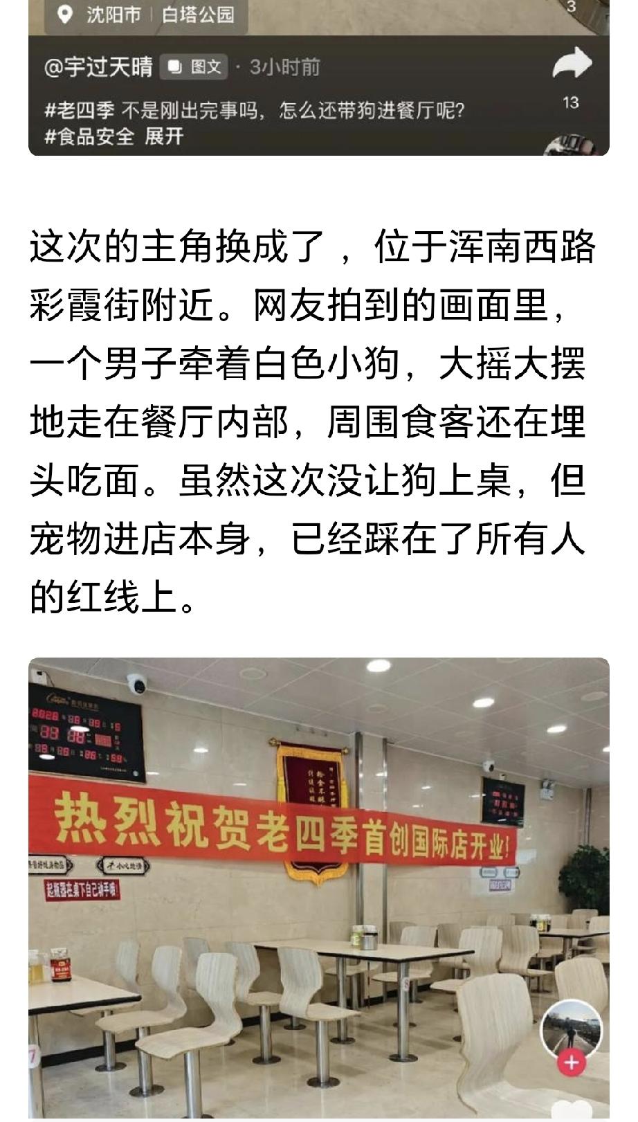 “带狗进店”，不能仅止于餐馆的道歉！
又是一家沈阳的老四季！
6月16日深夜，沈