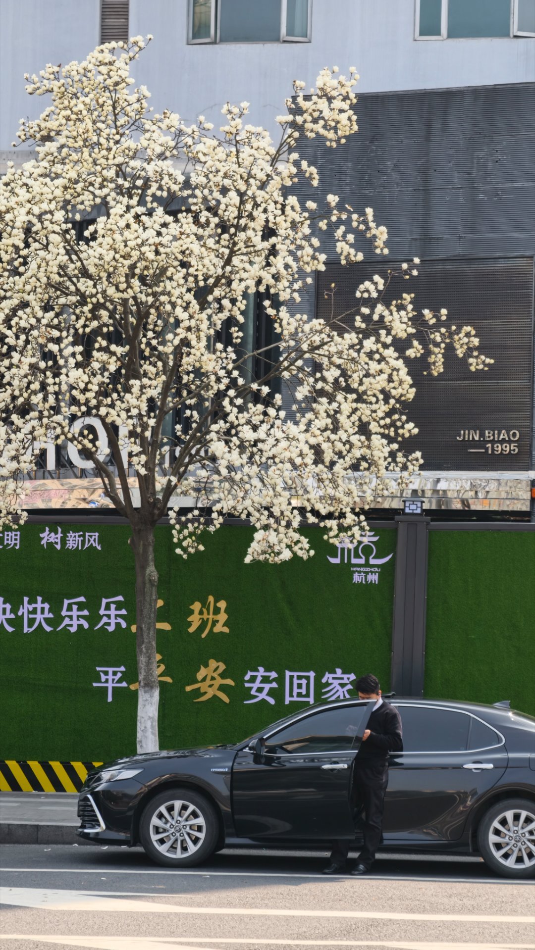 春风拂面杨柳依蜗的摄影日记 杭州·西湖风景名胜区