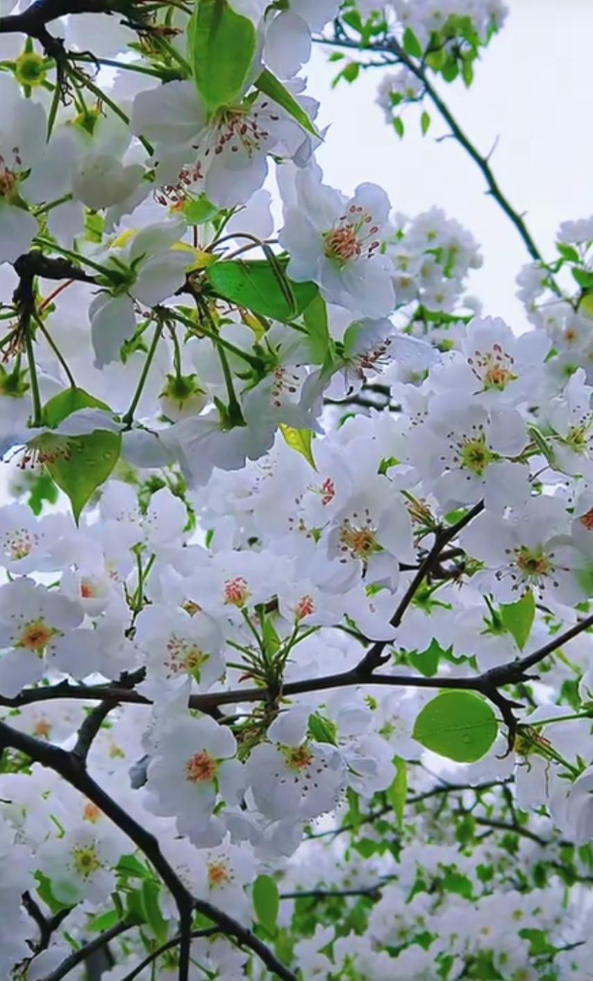 发现高中时学习的唯物辩证法最具有实用价值，它让我们看清世界，也让我们有了解决问题