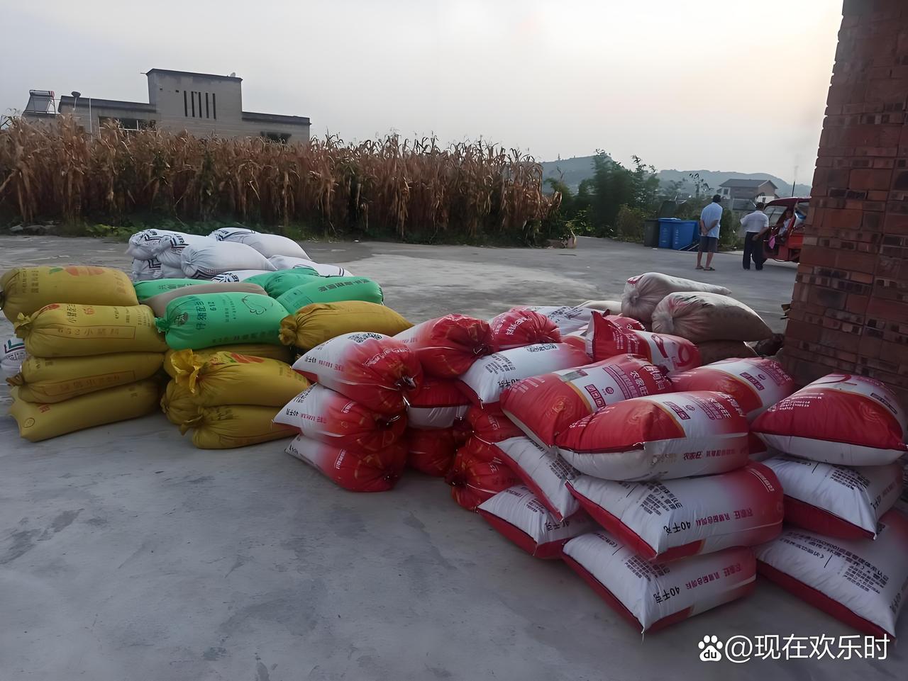 女人披头散发，一只手提着尿湿的裤子，一只手拿着根棍子，边追边骂，他男人拼命跑，她