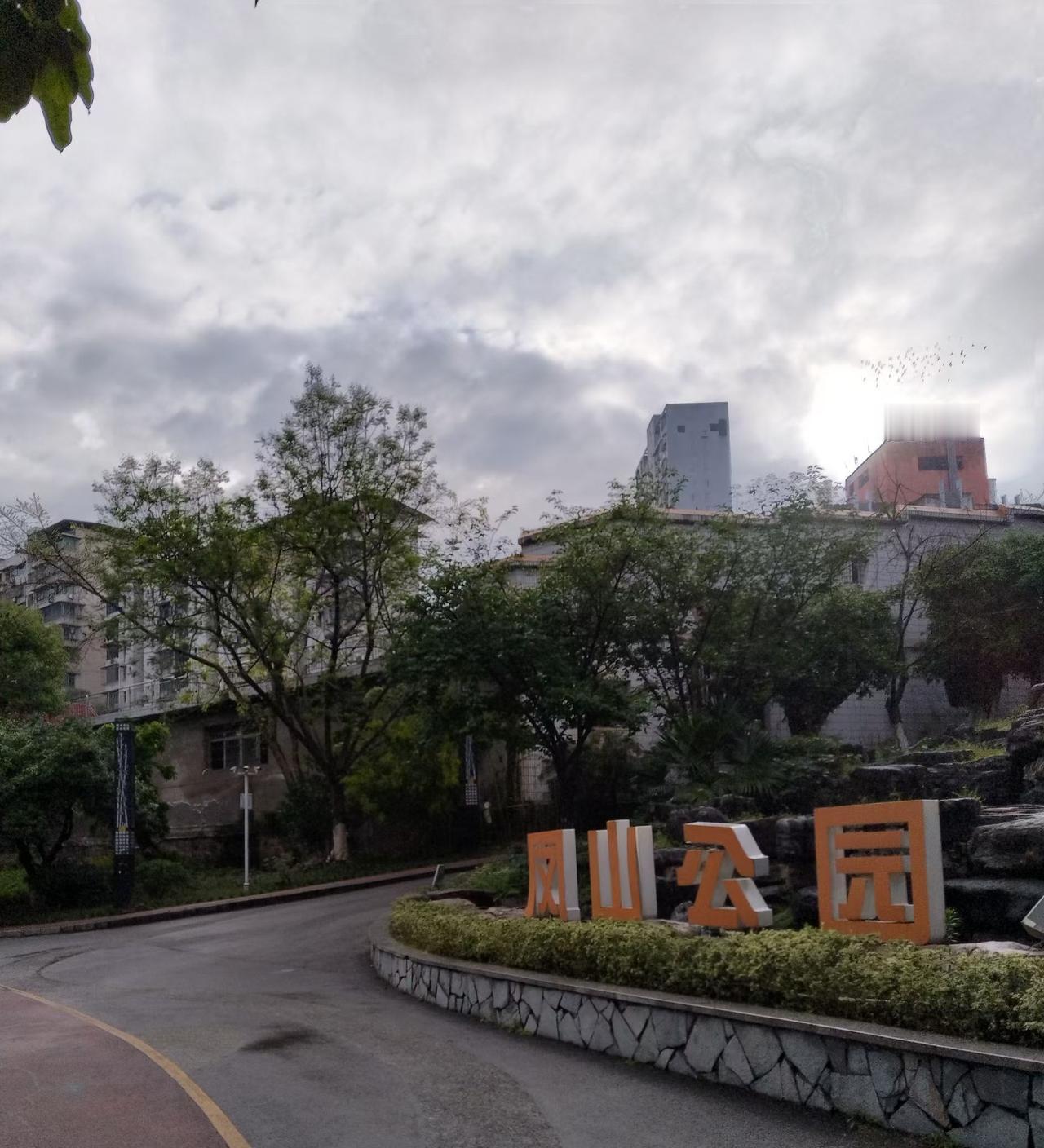 随手拍原创图片分享
