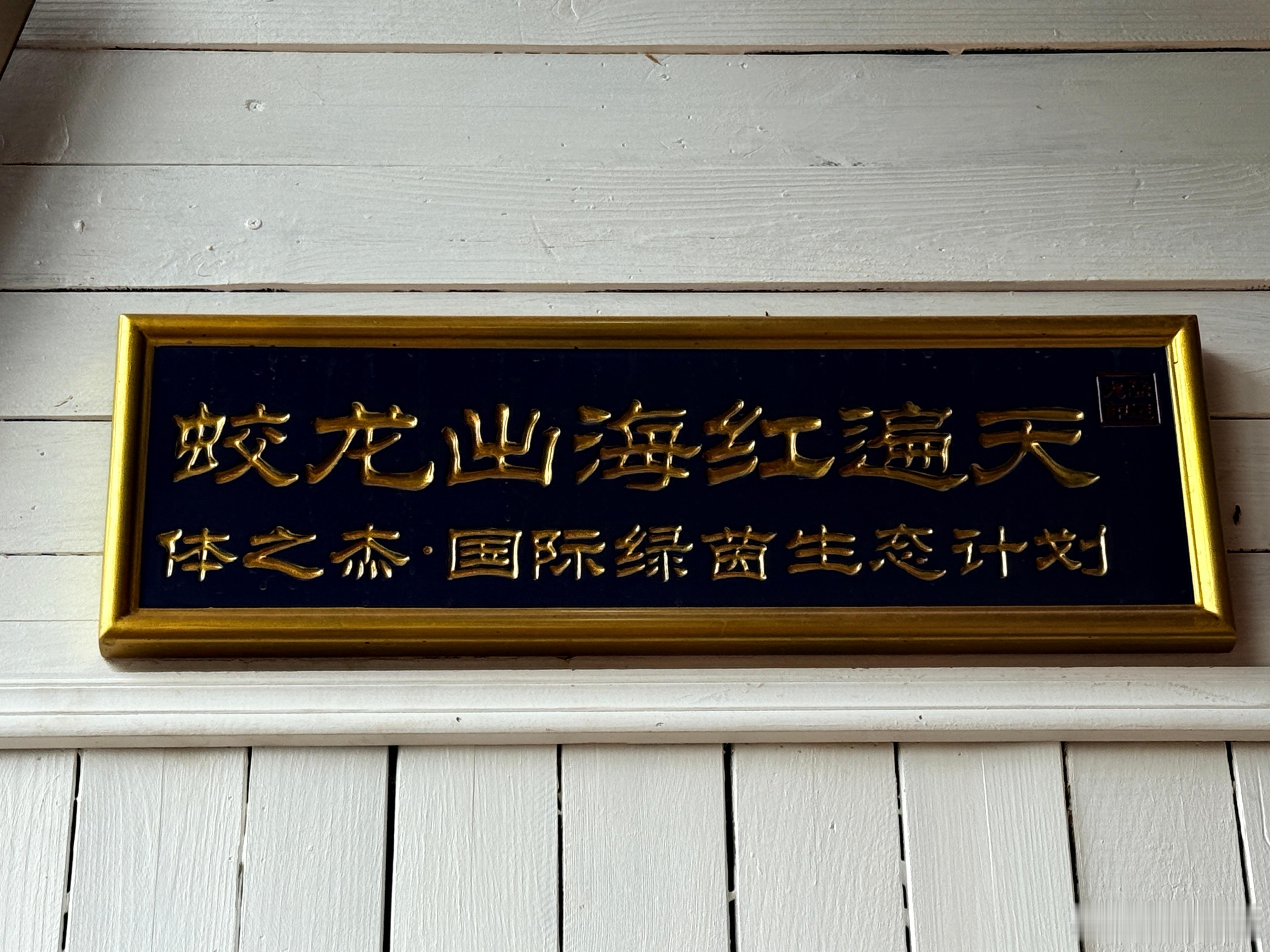 看看我发现了什么
