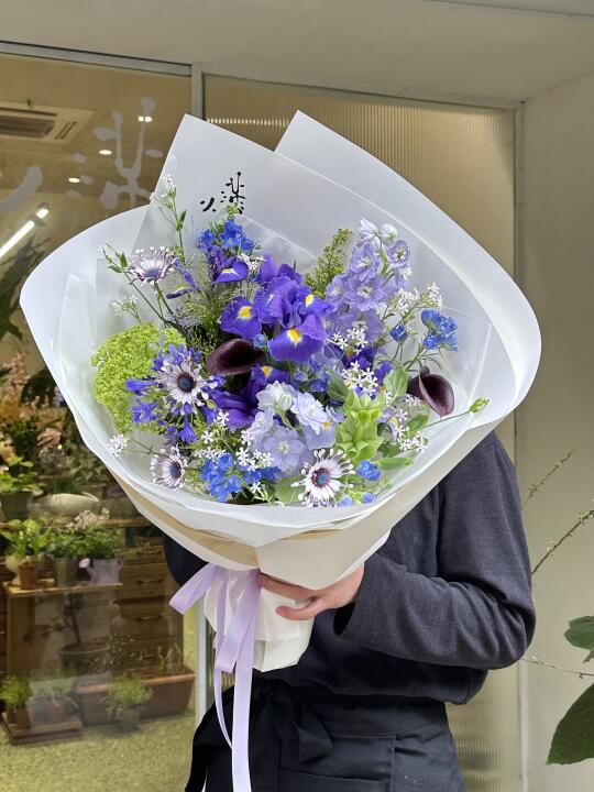 春日花束，飞舞的紫色🌱☂️