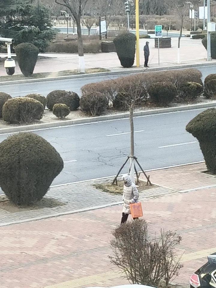 三九的第三天，早晨的天气阴云飞布，阵阵的凉风让行人颤抖，走在路上的人，不管男女老