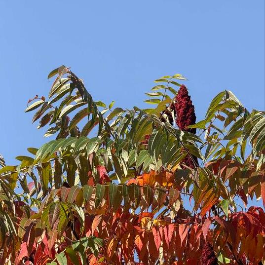 一条关于西安市原官员的消息
 
11月7日晚8:00，一条关于西安市原官员的消息