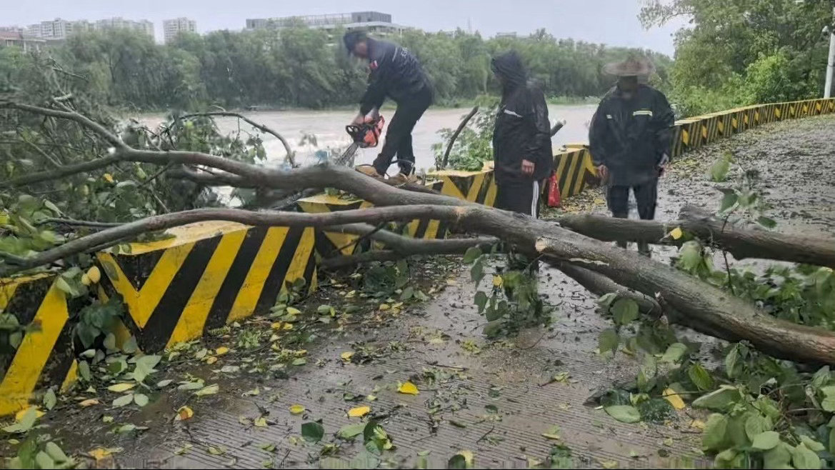 台州这支救援队从凌晨锯到白昼抢通道路天安救援队连夜集结，携带工具冒雨通宵清障，精