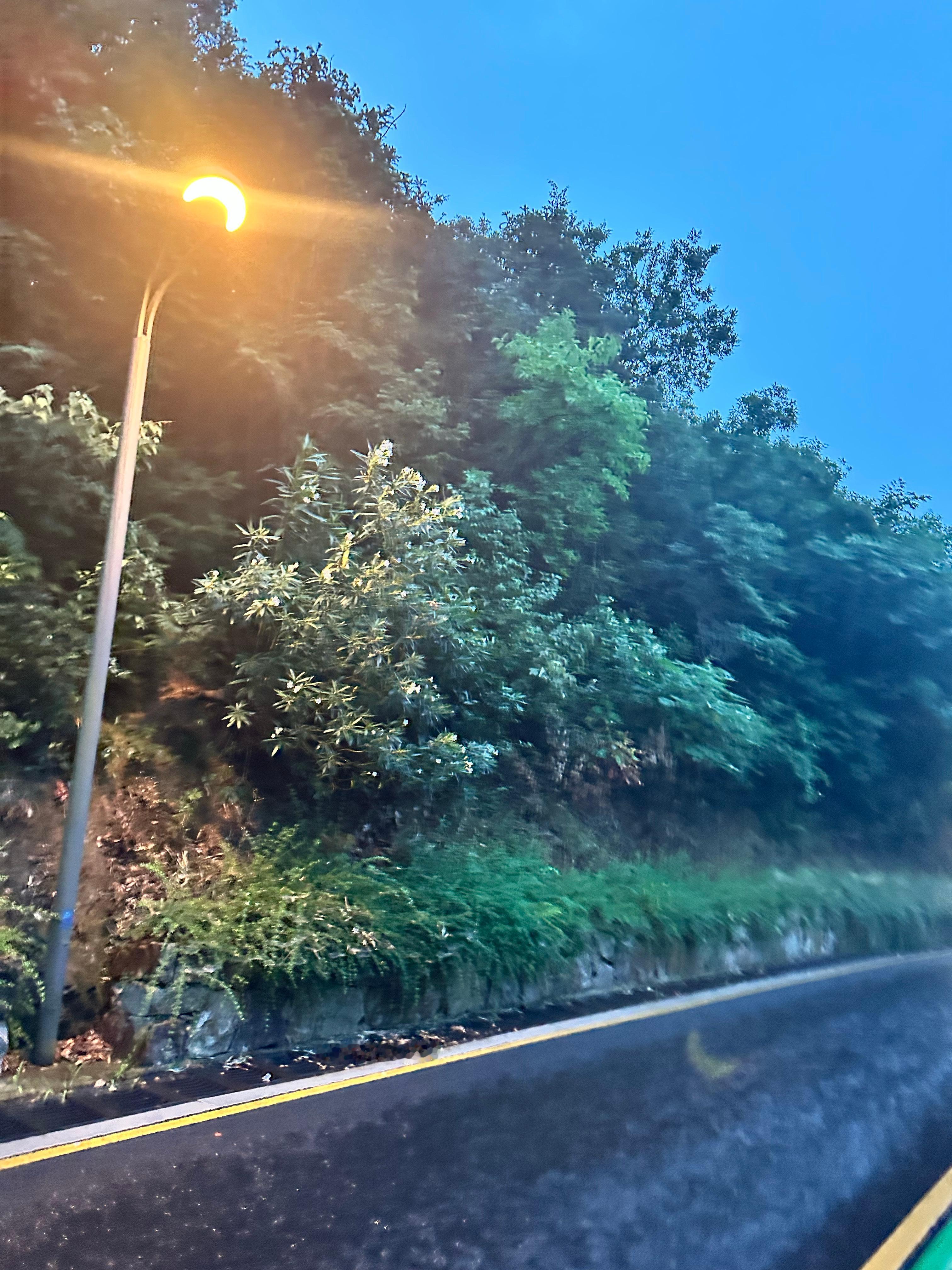 多讨厌的雨天