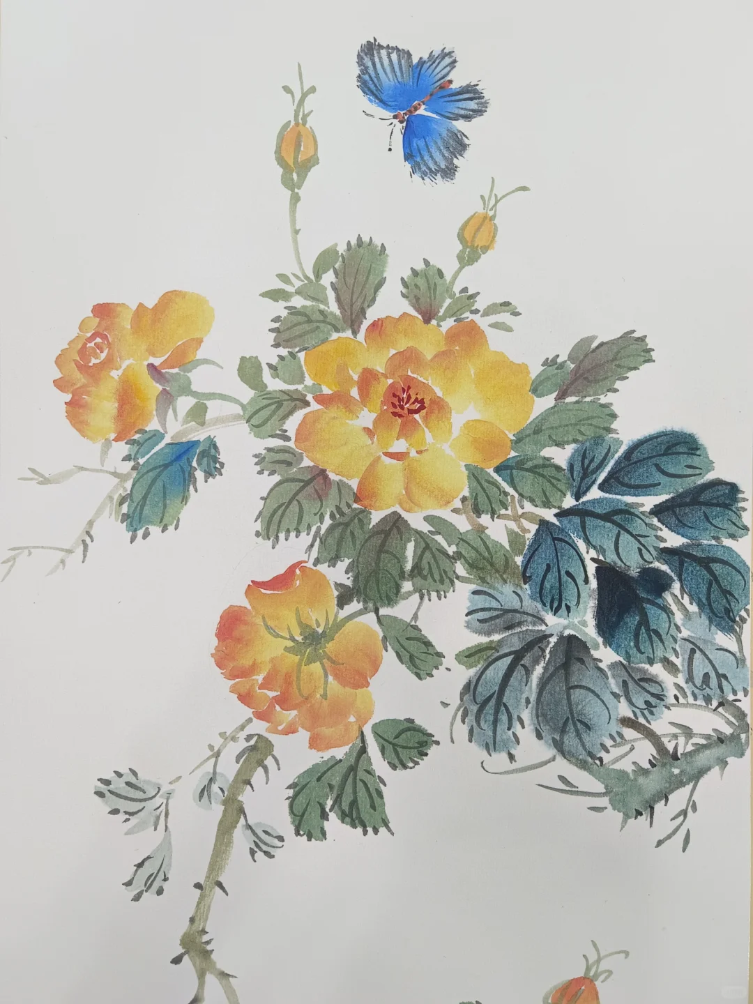 小写意月季