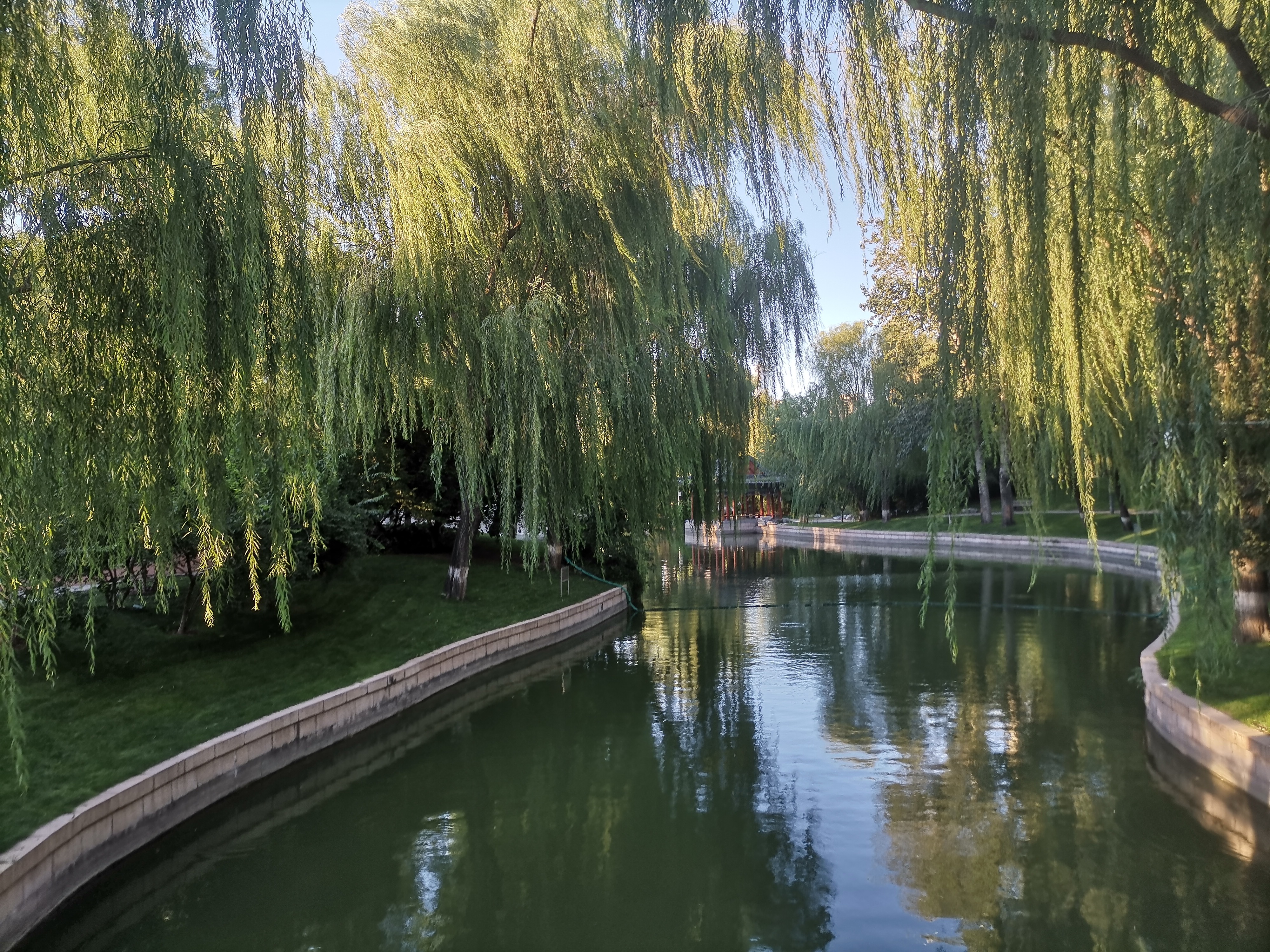 生活手记  前路浩浩荡荡，万物尽可期待温暖的灵魂终将相遇你知道，有些鸟儿是注定不