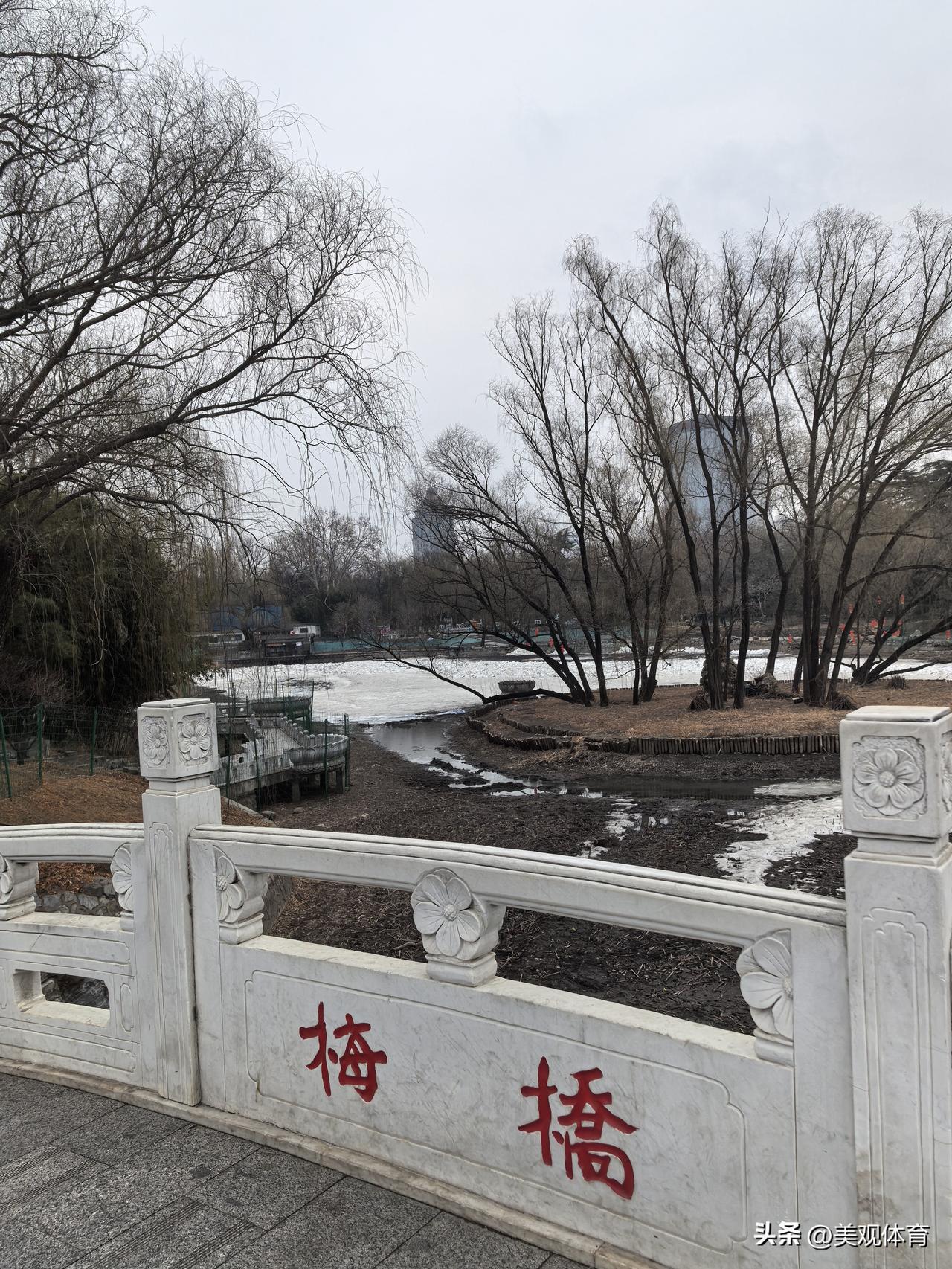 紫竹院公园梅桥及湖心岛“神树”