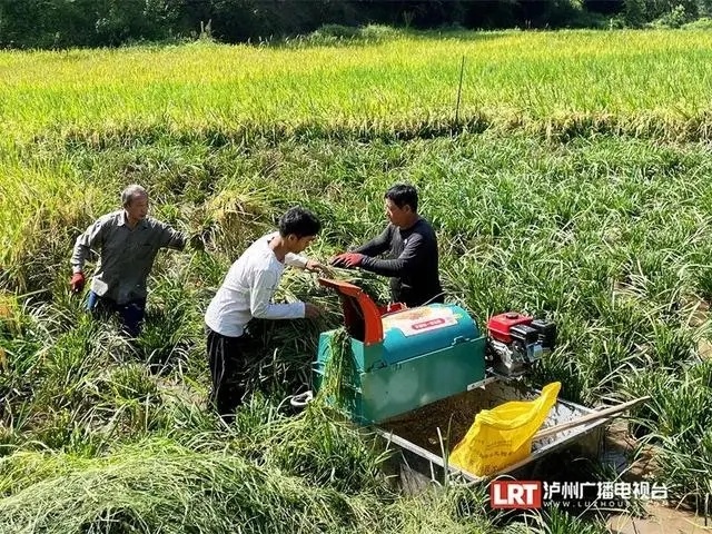 【#打谷子小伙收到985录取通知书#[送花花][送花花]】收到录取通知书时，四川