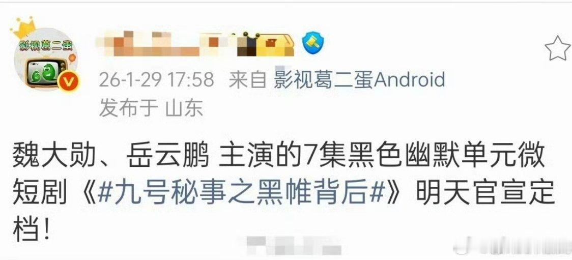魏大勋、岳云鹏主演的新剧《九号秘事之黑帷背后》1.30 官宣定档印象之前这部剧被