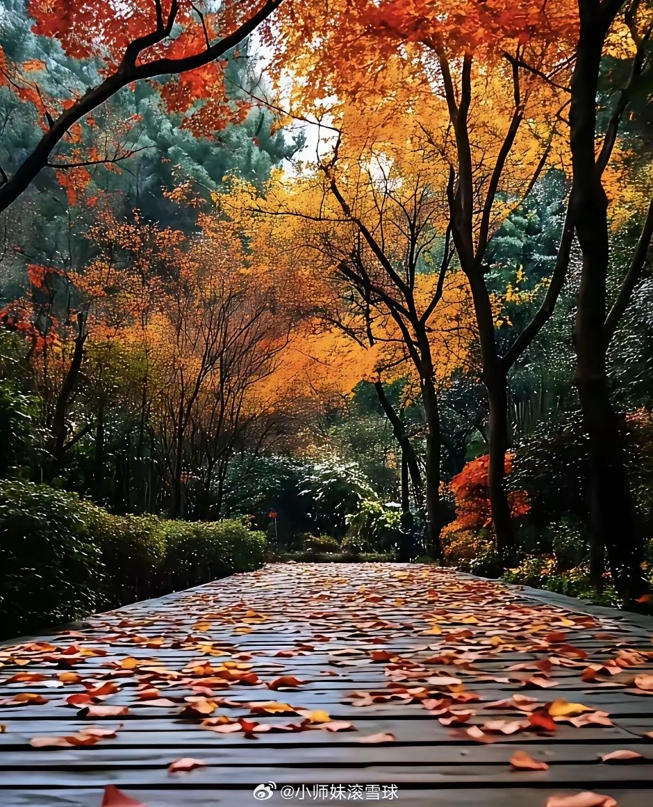 人都有两面，趋利是本能，自私是常态。锦上添花易，雪中送炭难，身边人盼你好，却怕你