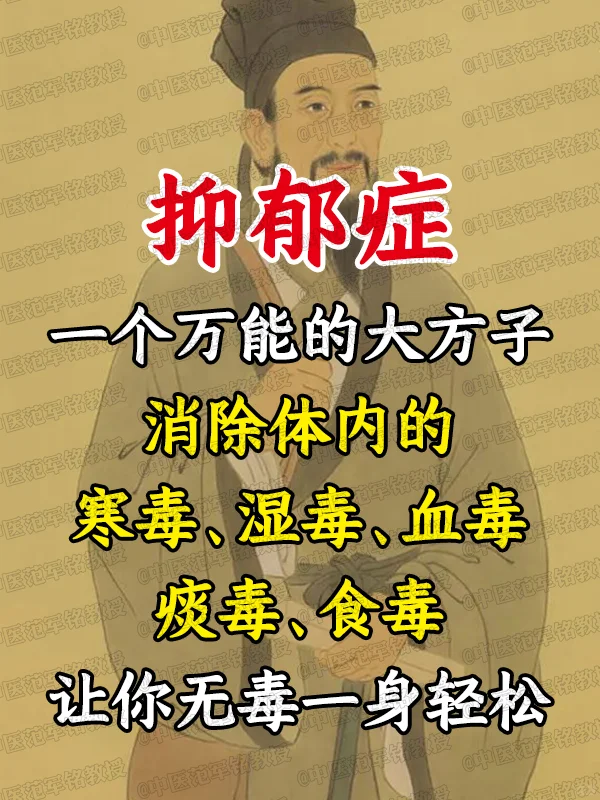 抑郁症：一个万能的大方子，消除体内的寒毒、 湿毒、血毒、痰毒、食毒，让...