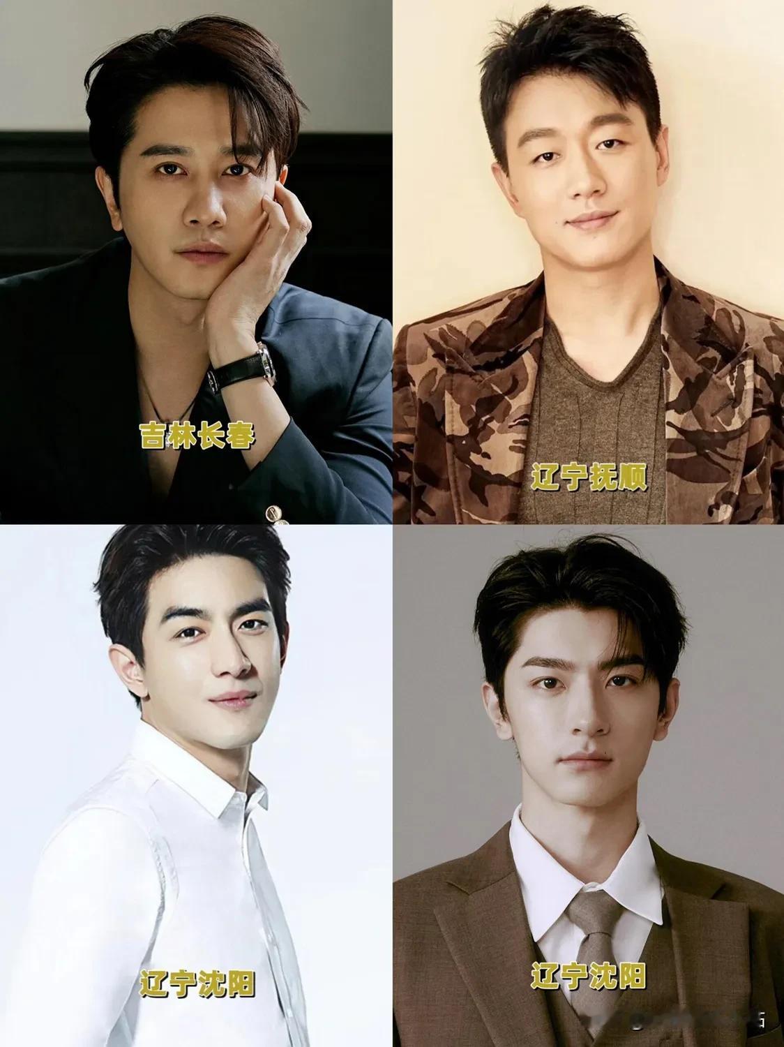 《玫瑰的故事》男演员，5个男的，4个东北的，东北男人真是又高又帅！

彭冠英：3