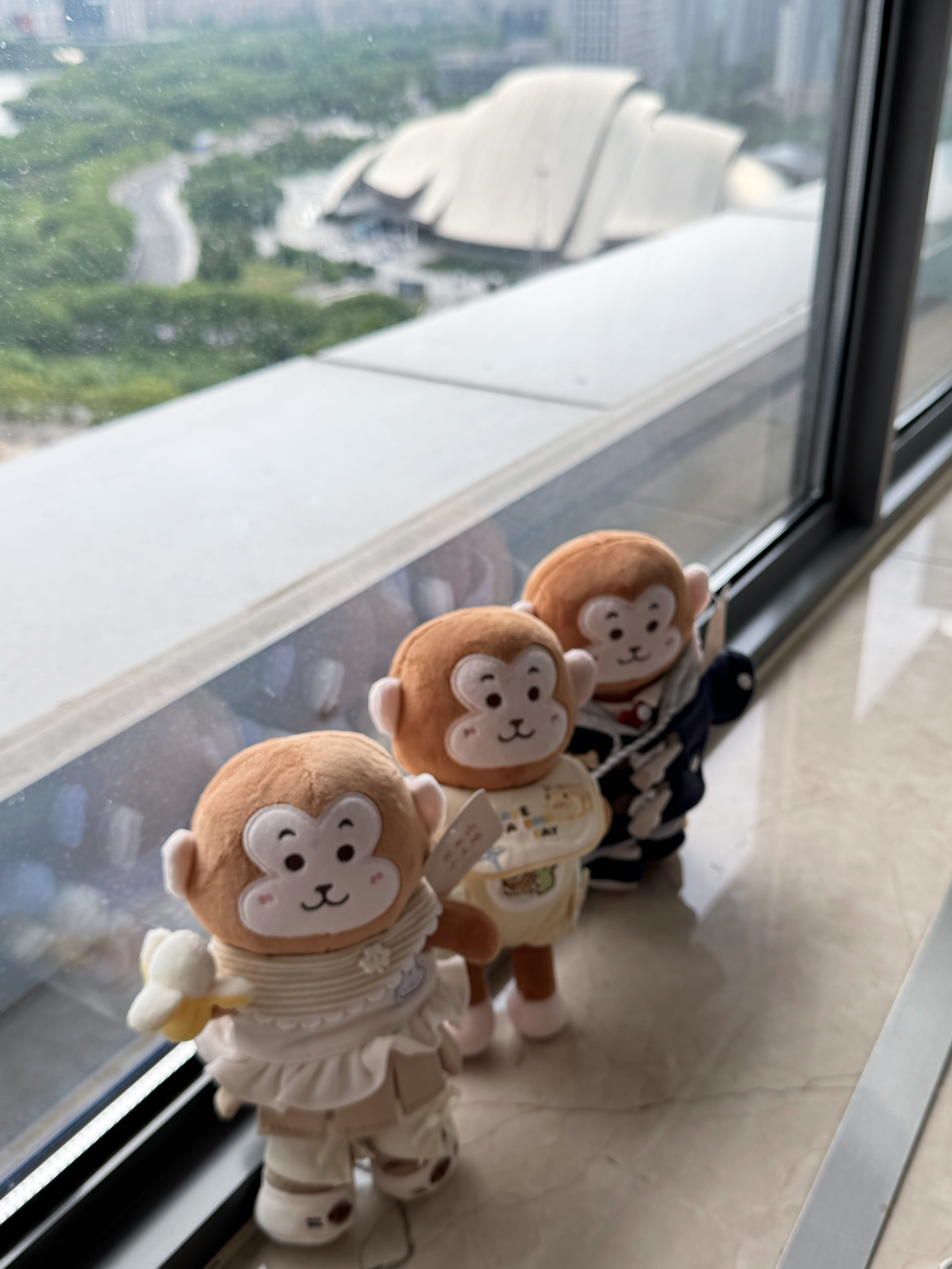 三只小猴会面了🐵🐵🐵 