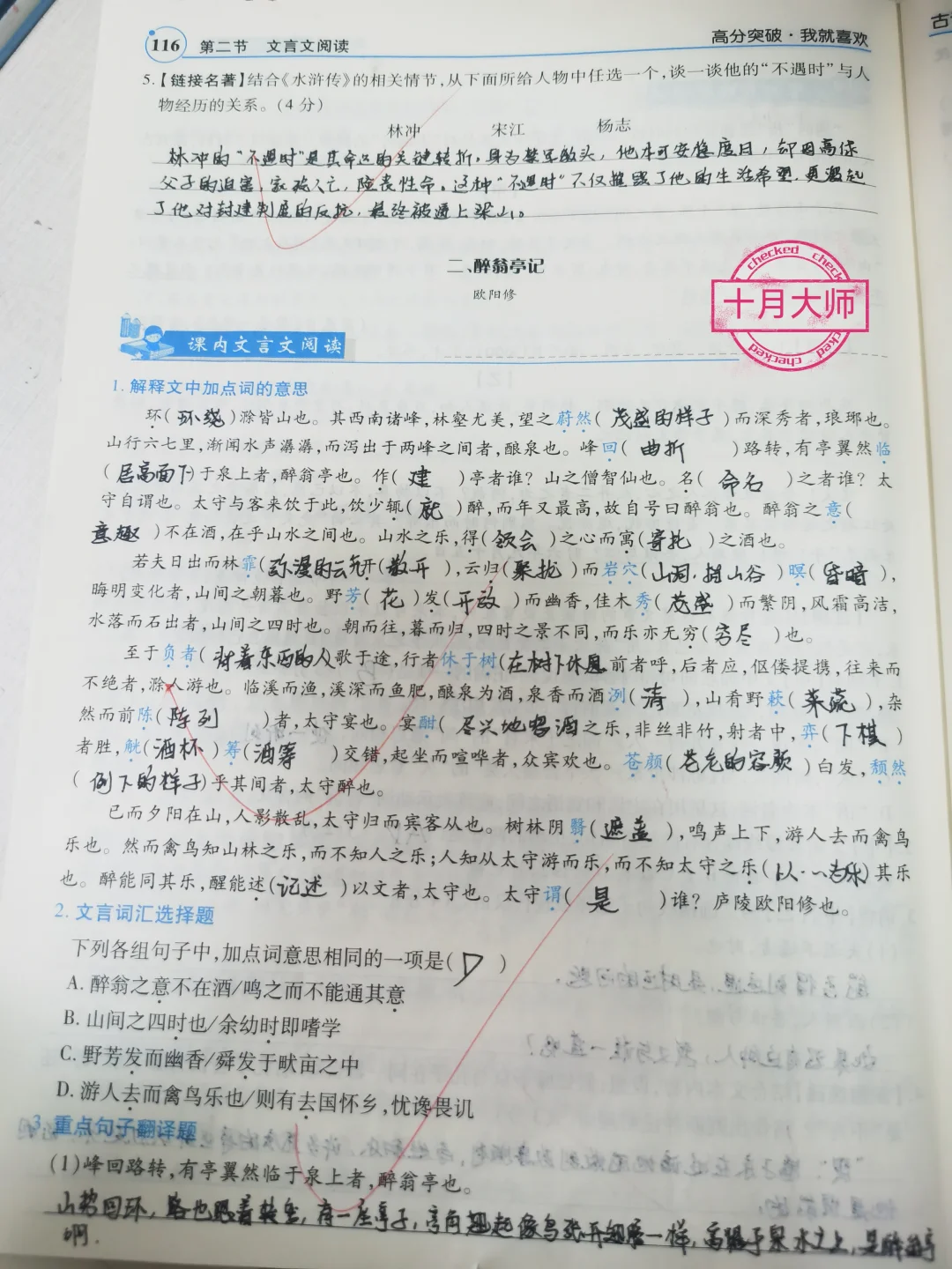 中考文言文专题复习《醉翁亭记》考试试题