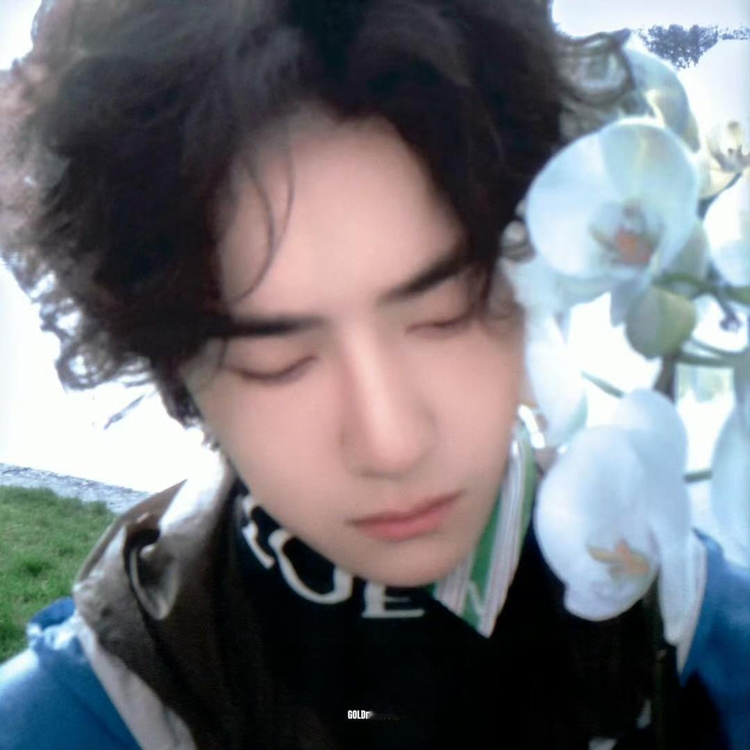 美人王一博 cr:logo 