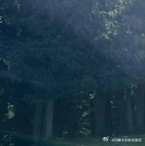 微公益 l阳光信用 向善是一种文明，也是一种光明。善良之举，需要人人拥有；善良之