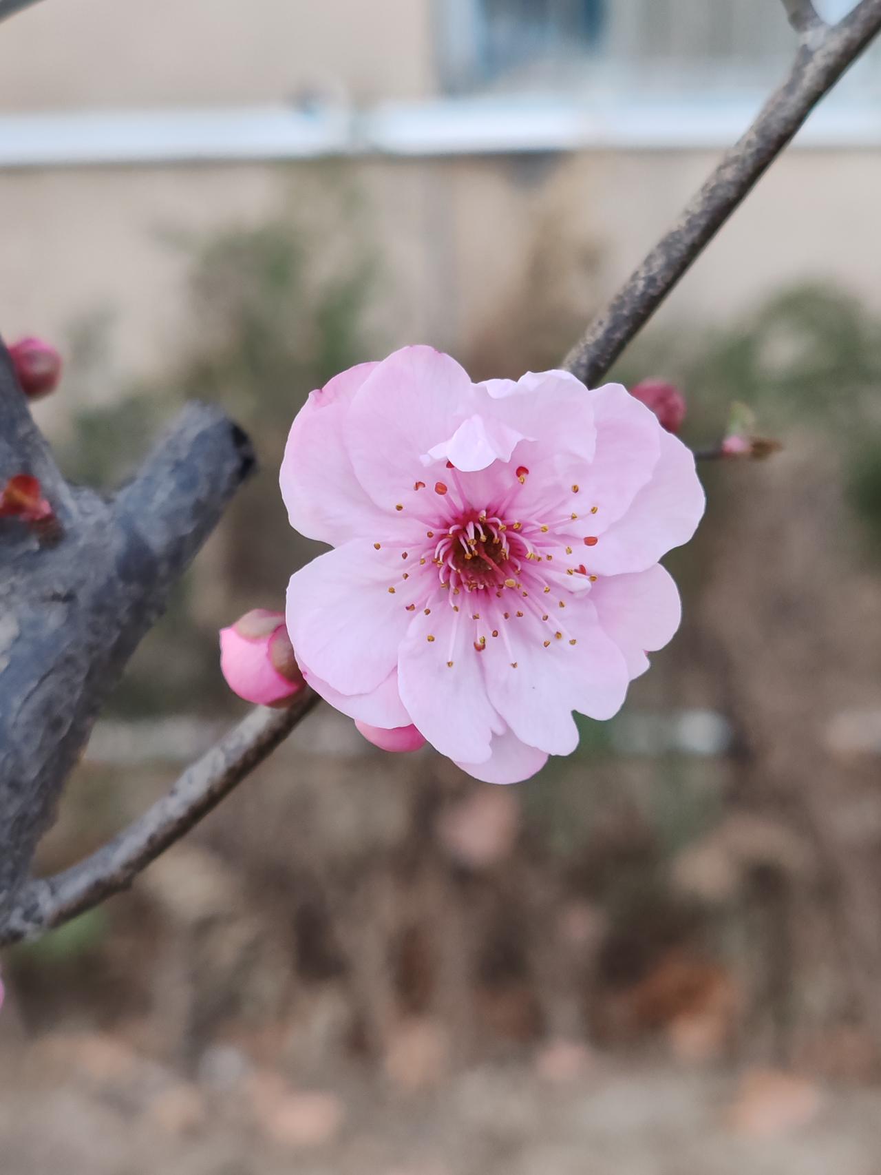 清醒是自知之明、自律之明、进退之明的根基。唯有清楚自己的能力水平，方能安分守己，