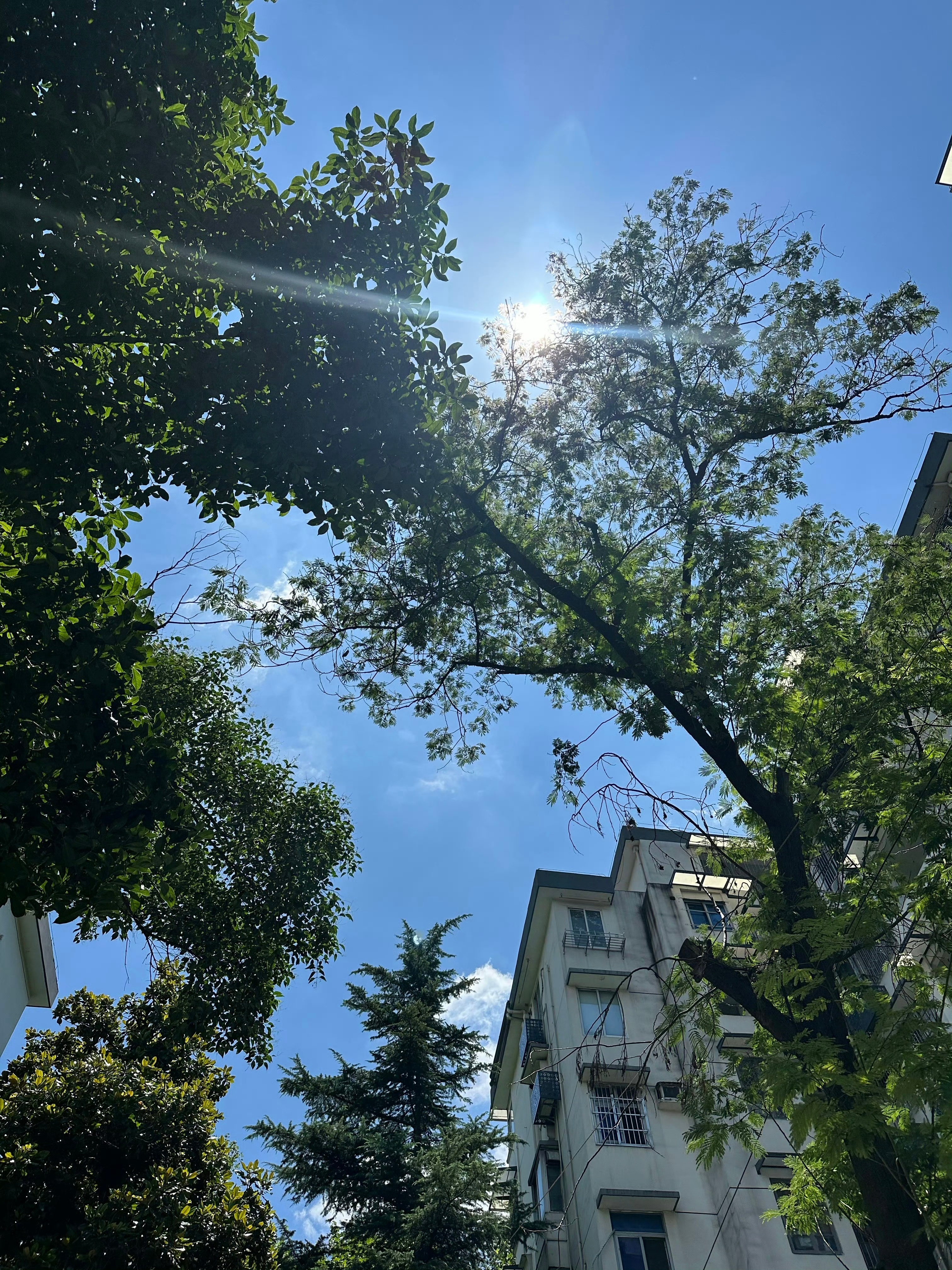 首先说不是鼓励大家花💰的意思但很多时候，能花💰解决的问题，往往已经是生活中成