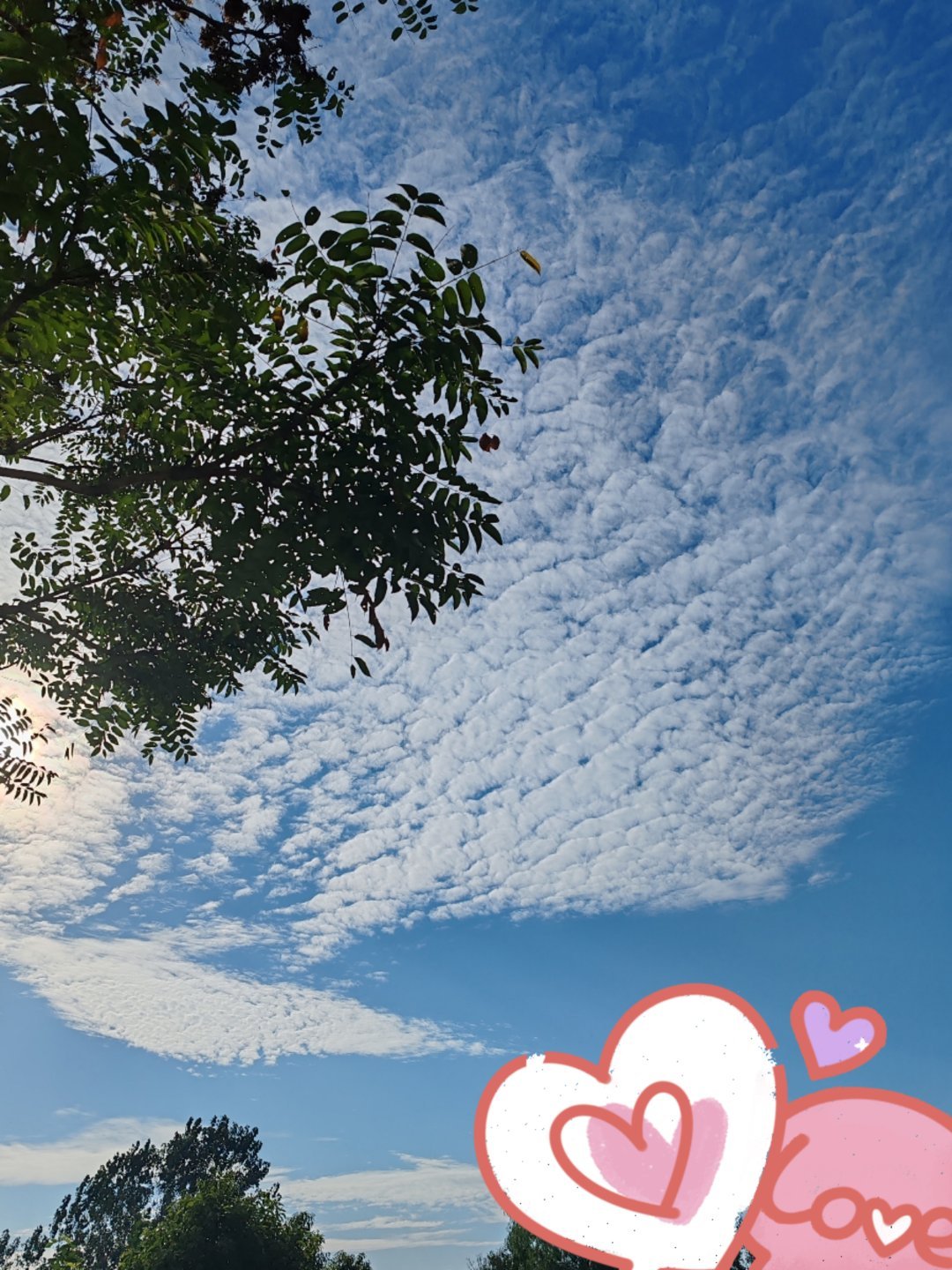 这部剧由鞠婧祎、曾舜晞、陈都灵、田嘉瑞领衔主演，热度飙升非常惊人。开播首日正片播