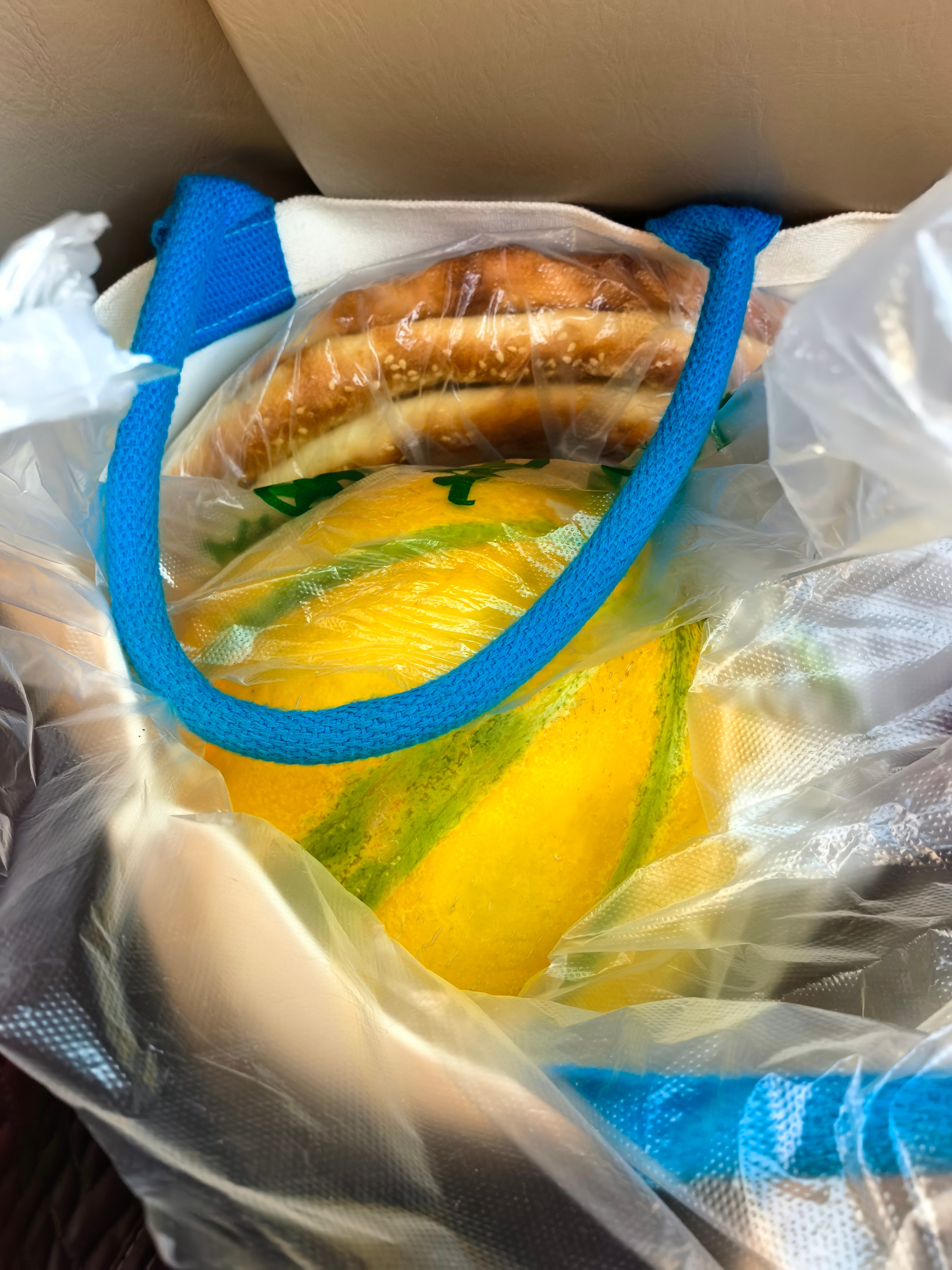出疆标配，老汉瓜和大馕饼子（比例尺：伞）安排上[偷乐]  ​​​