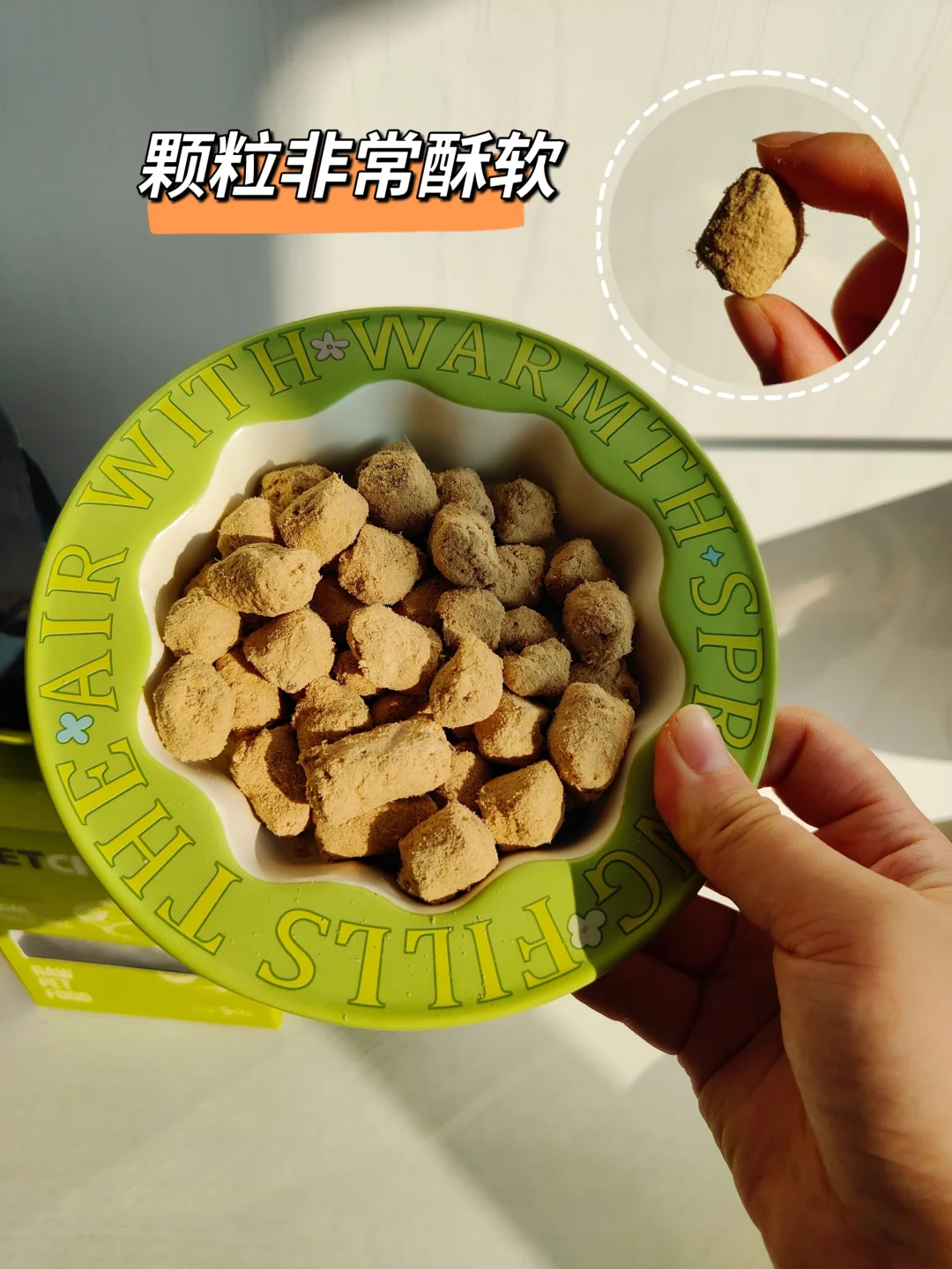 猫猫の冻干日🐱