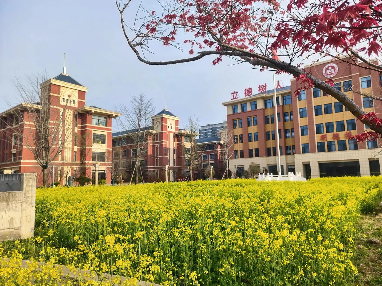 考试的弊端一定存在，但是不考虑在当下实际，就取消所有考试，也是极端的做法。

可