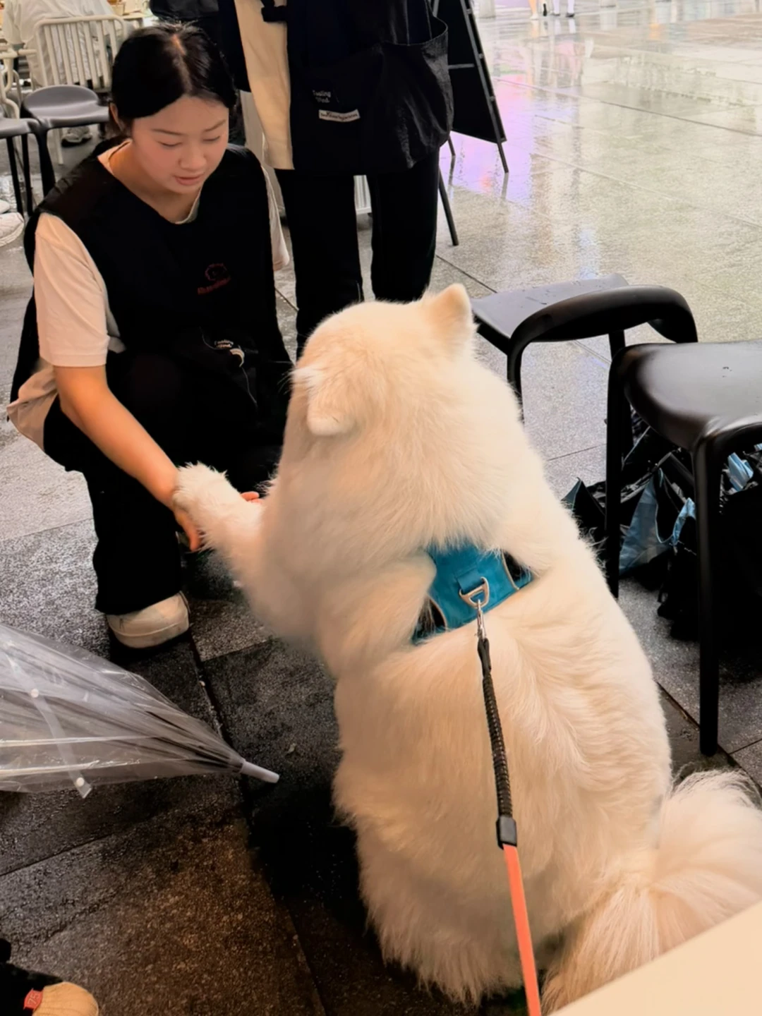 黄昏蓝你那么美