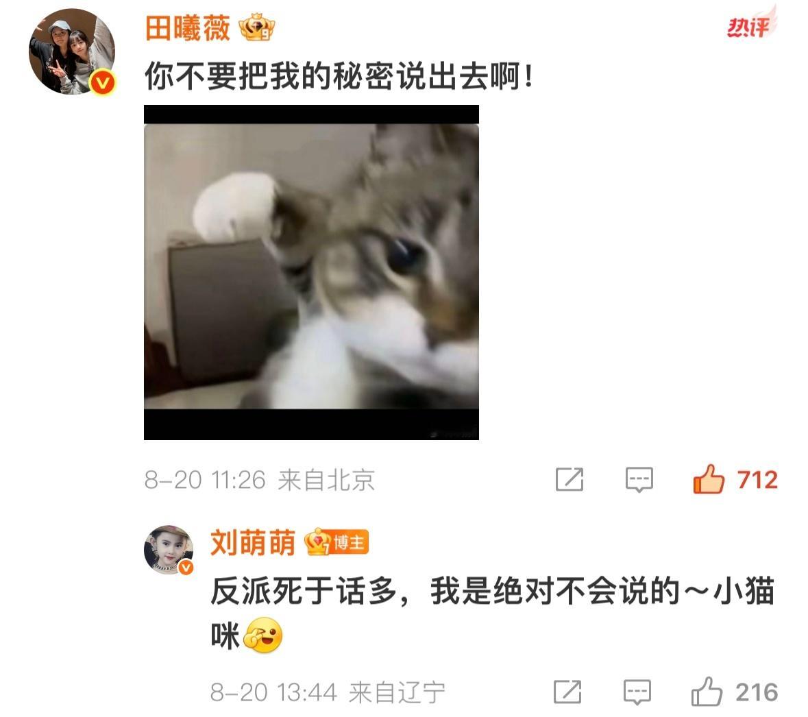 我们小猫咪就是这么可爱✊🥹 ​​​
