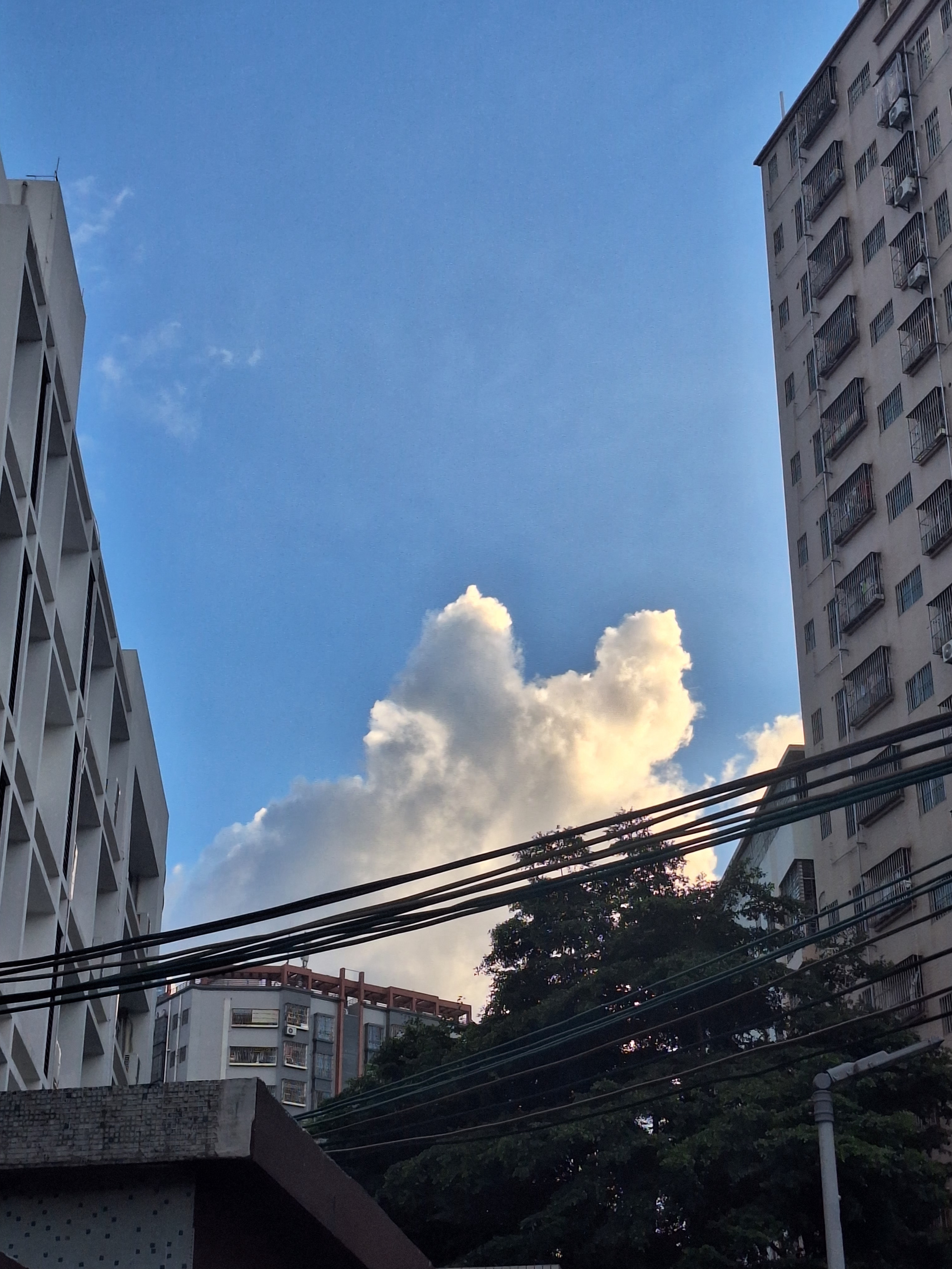 今天的云看起来很像猫猫头啊 