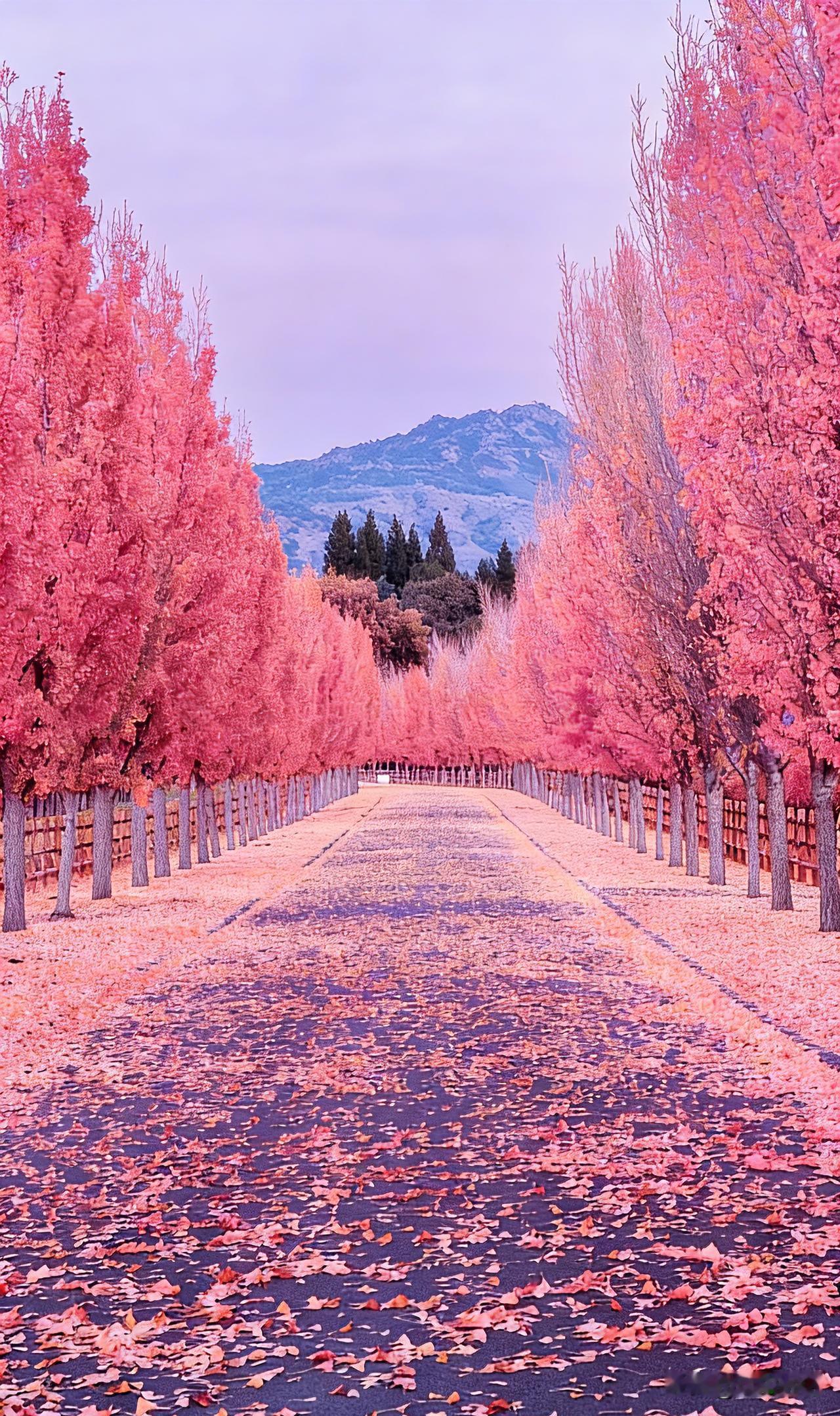 未来3年好好活下去，请狠狠记住这些忠告：
 
1. 外面的饺子、馄饨、肉丸，要少