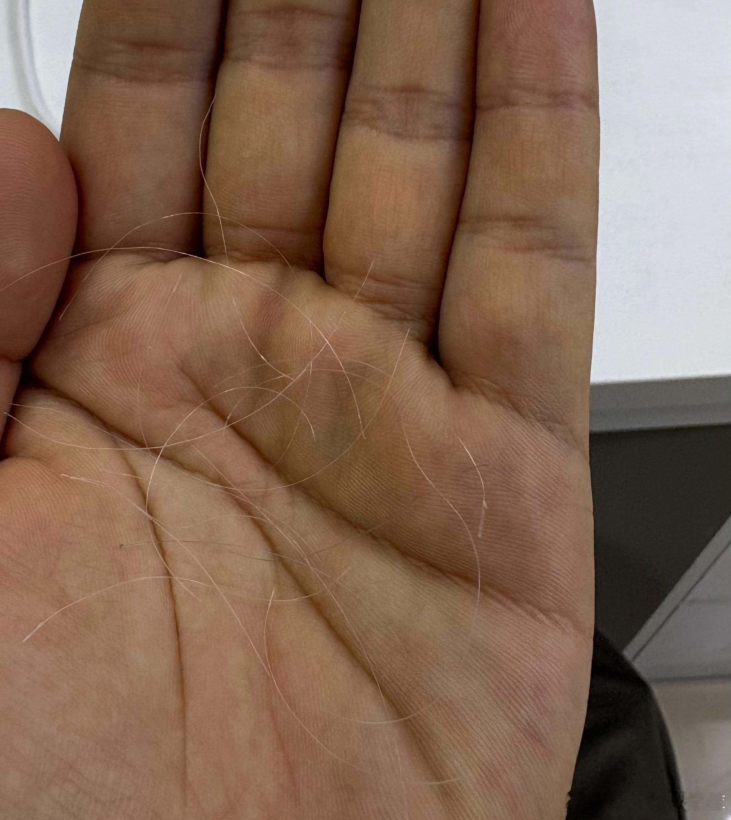 我为数不多的优点之一就是头发不咋脱发今天让专业师傅帮我看一下得到了再次肯定又给我