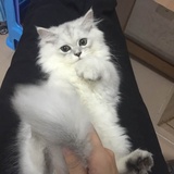 晖侃科技