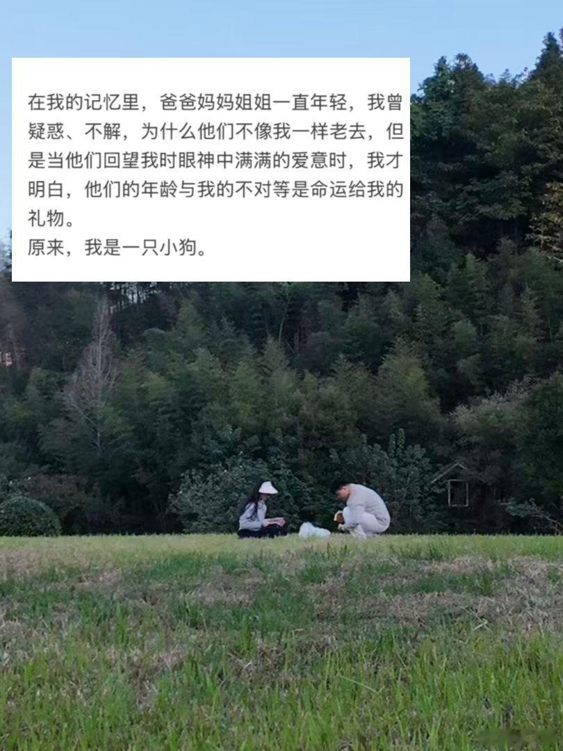原来，我是一只小狗。 