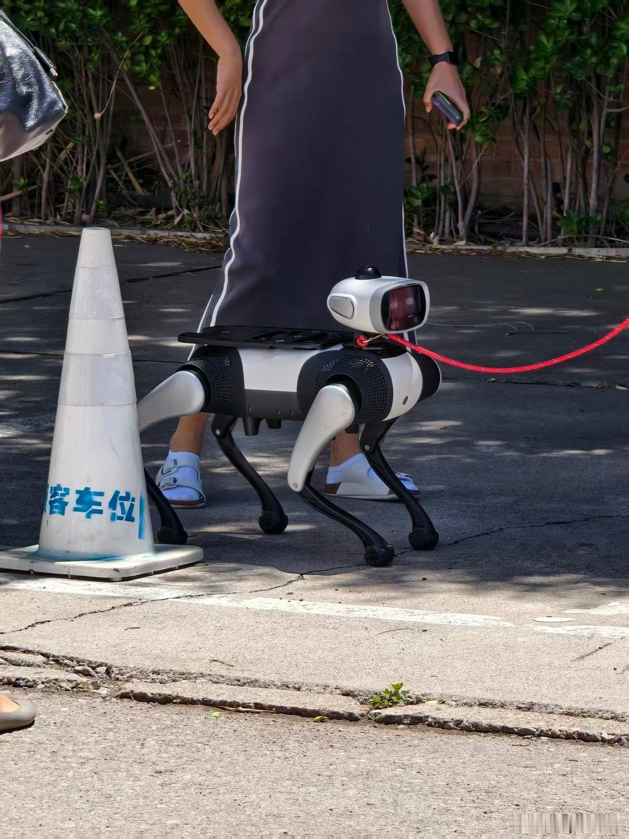 溜赛博小狗，喂赛博狗粮，铲赛博狗屎 