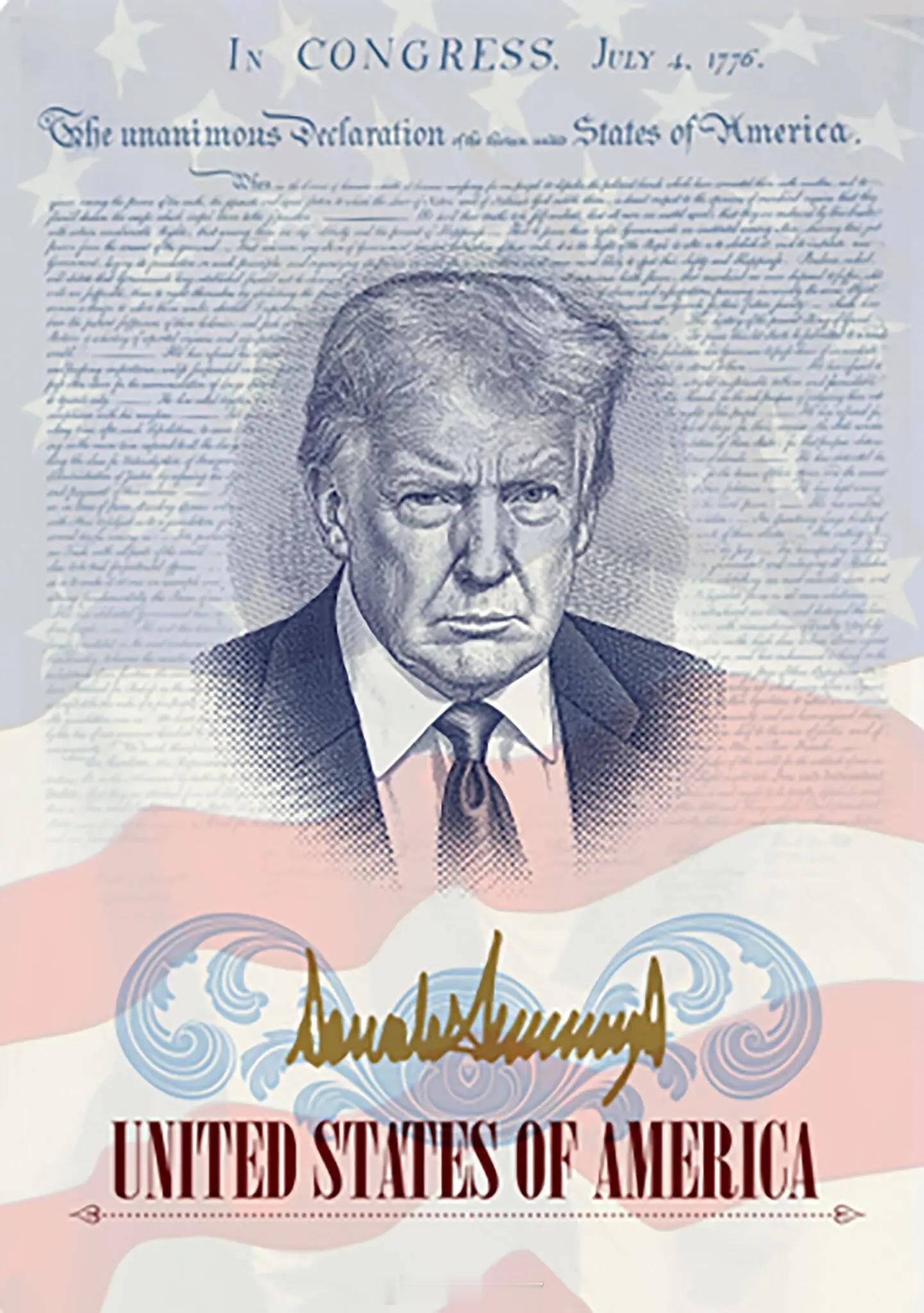 美国国务院发言人汤米·皮戈特表示，将发行“数量有限的特别设计”护照。新护照将在今