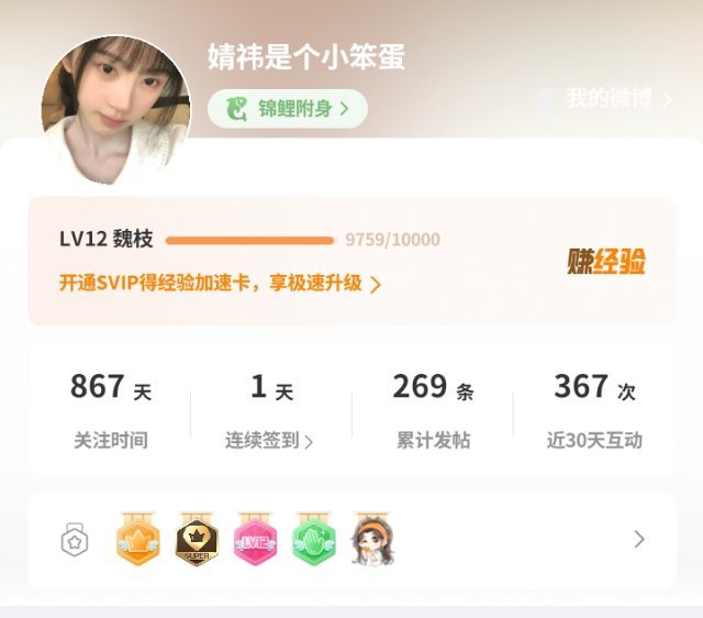 小号叒叒叒断签了啊啊啊啊