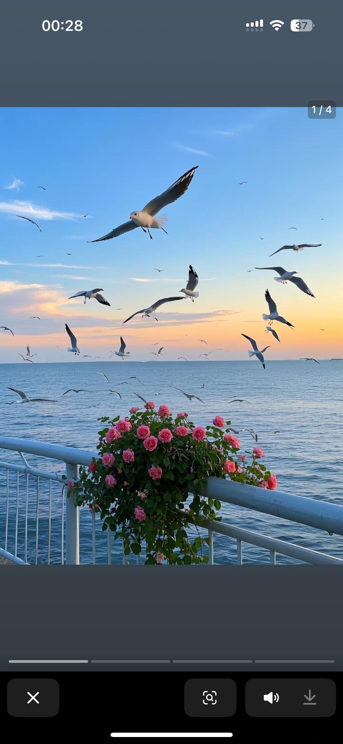 pick你心中的改编潜力王微博年度待改编IP评选“如果在心里有春天，那么夏天是比