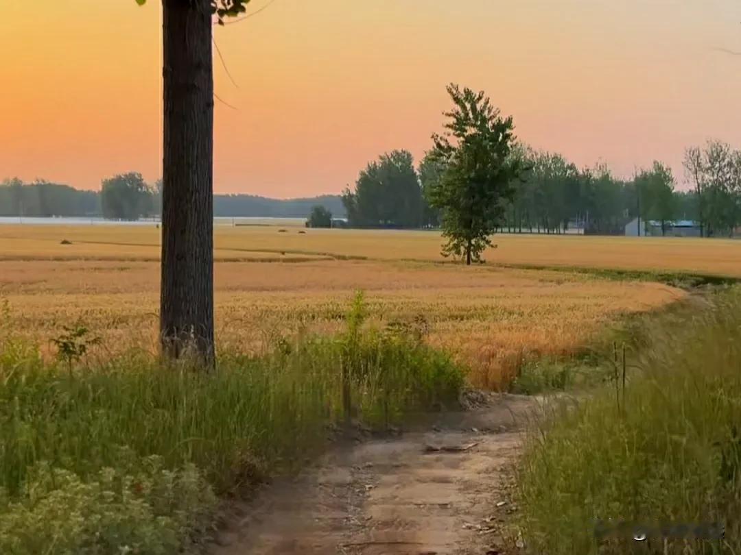 一位销售朋友，给我推一款打折包，淡紫色、清雅，很合我眼缘。

她轻描淡写道：“才