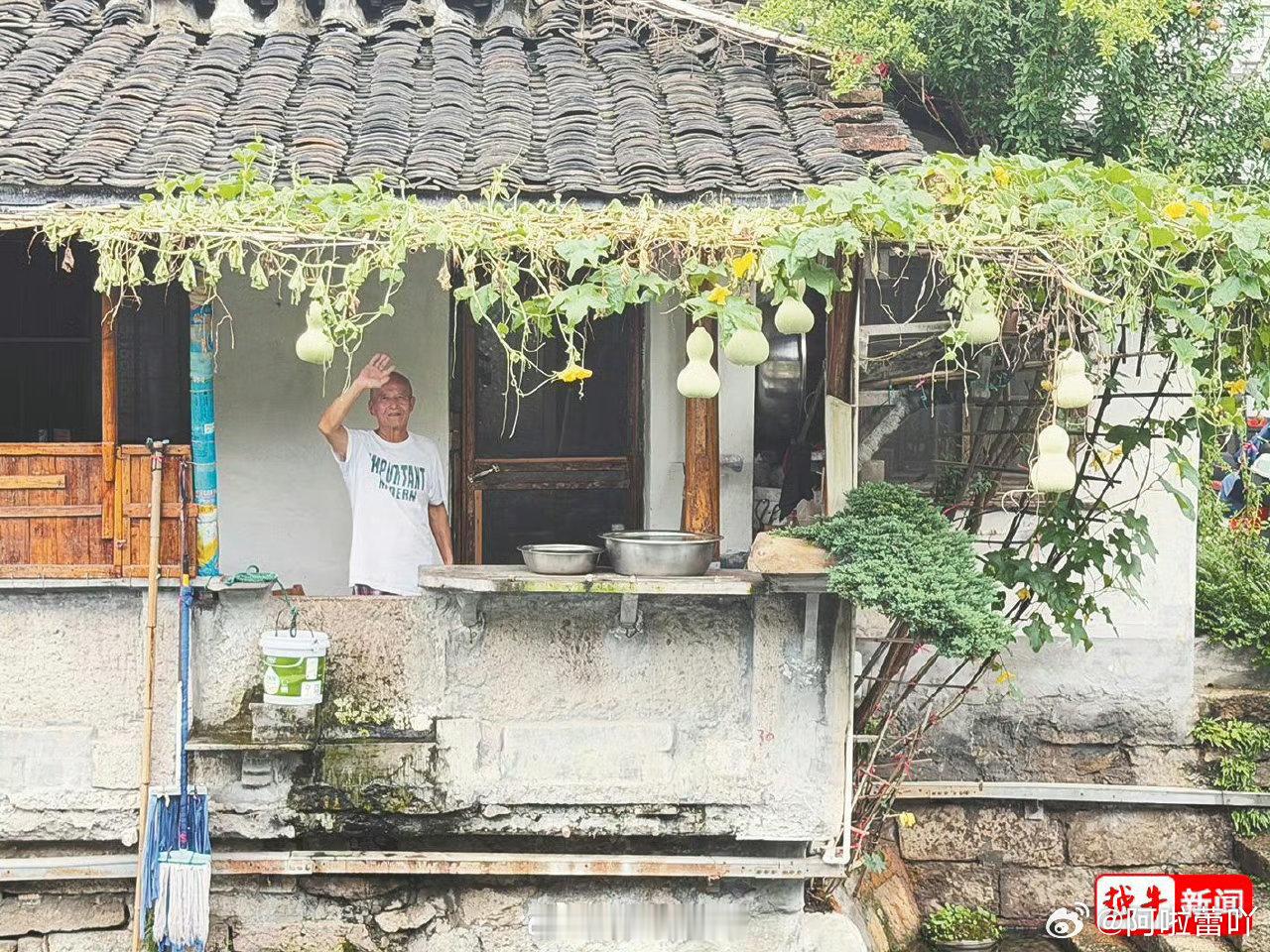 绍兴现实版葫芦娃为什么火了【浙江75岁老人种出7个葫芦娃成网红打卡地，75岁爷爷