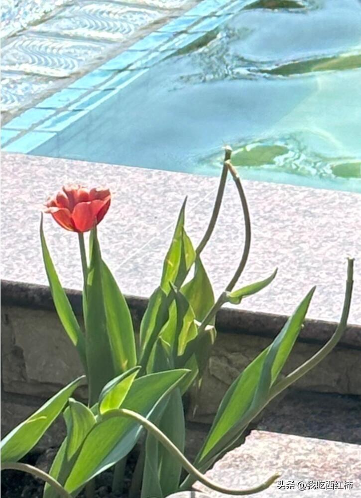 资助了四年的小女孩数学成绩20分
从小学到初三，每年机构汇报的期末成绩单上各科表