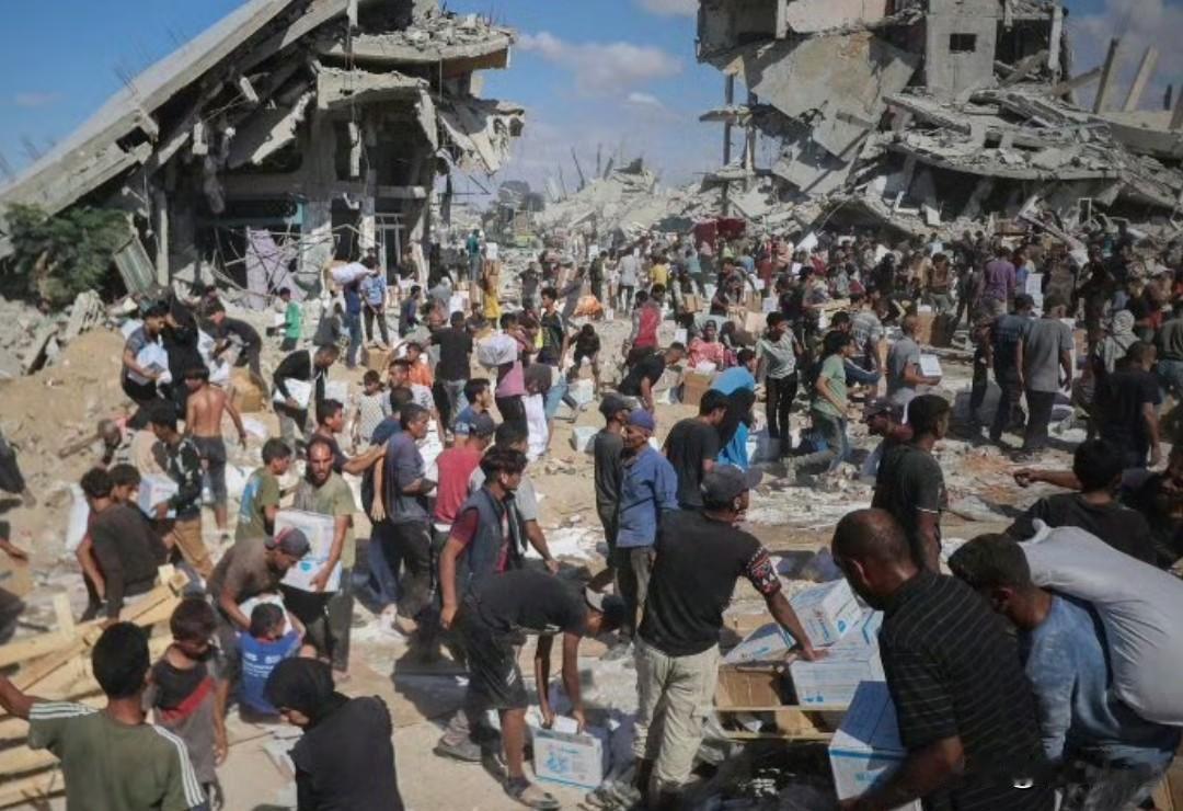 一位联合国专家表示，以色列必须立即允许帐篷及基本生活必需品运抵加沙地带，因为那些